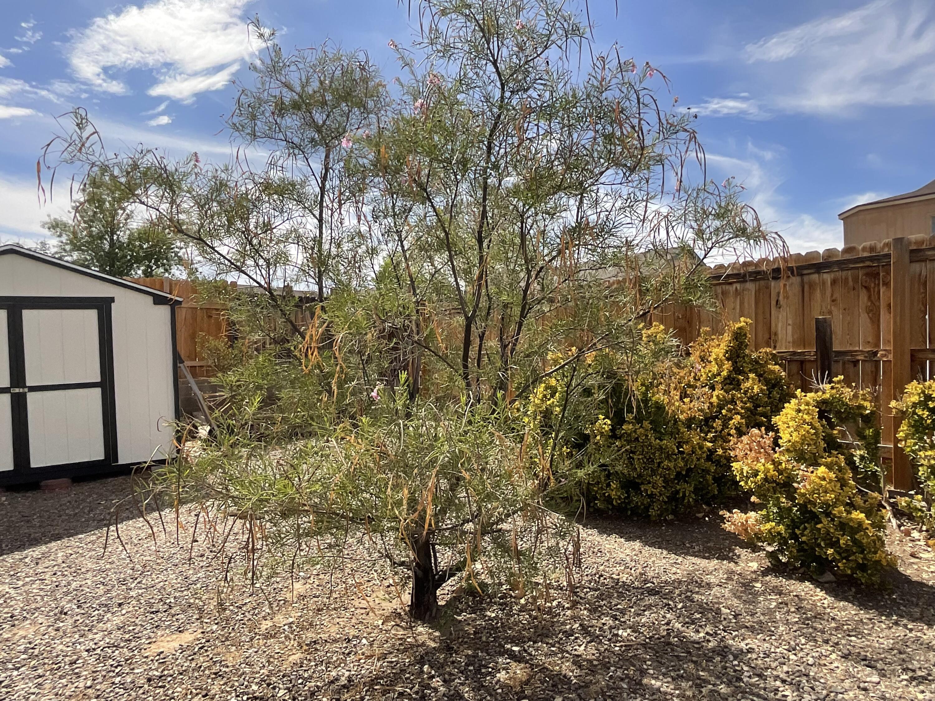 Photo 17 — 1313 Elkslip Drive NE