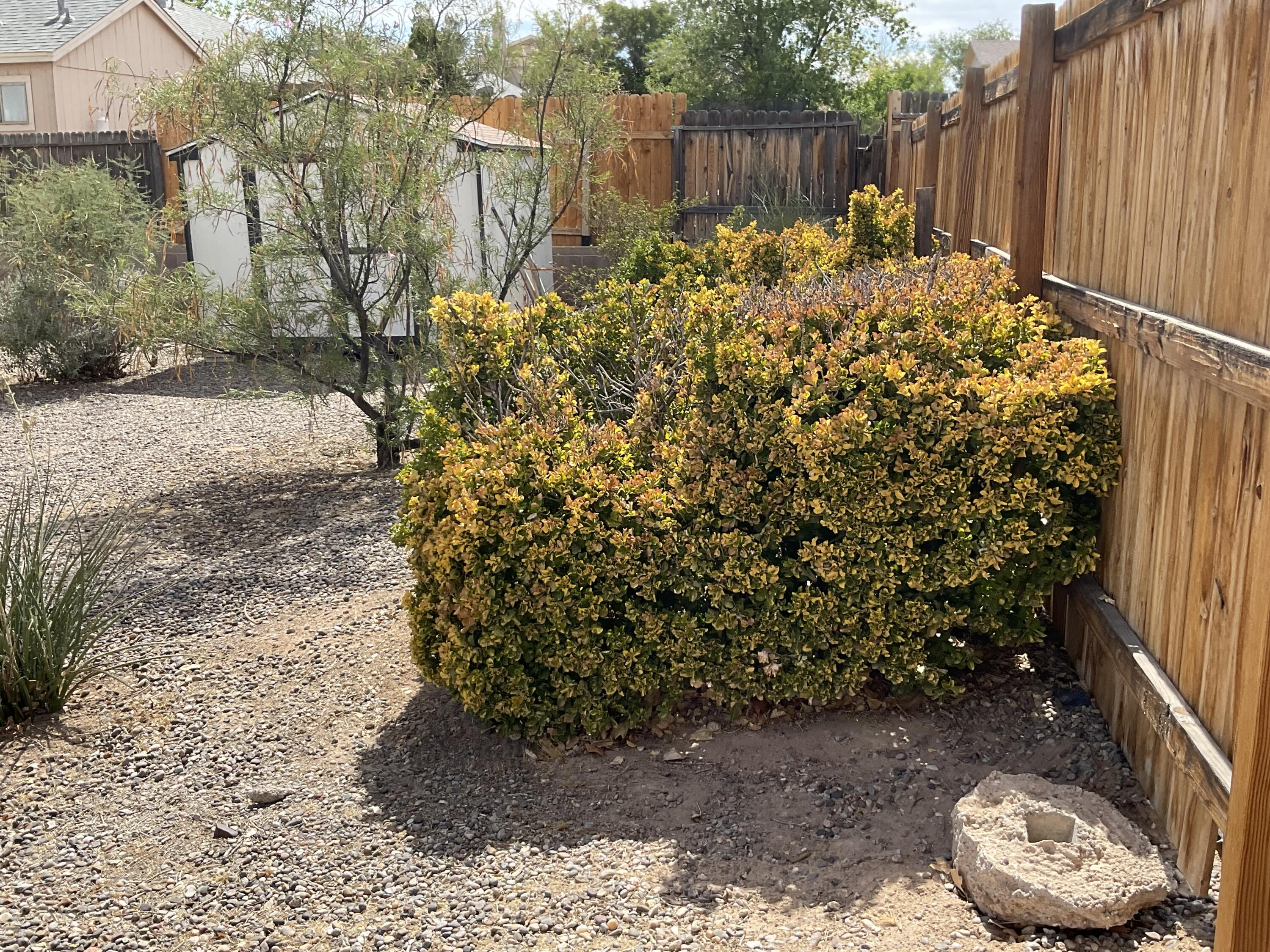 Photo 14 — 1313 Elkslip Drive NE