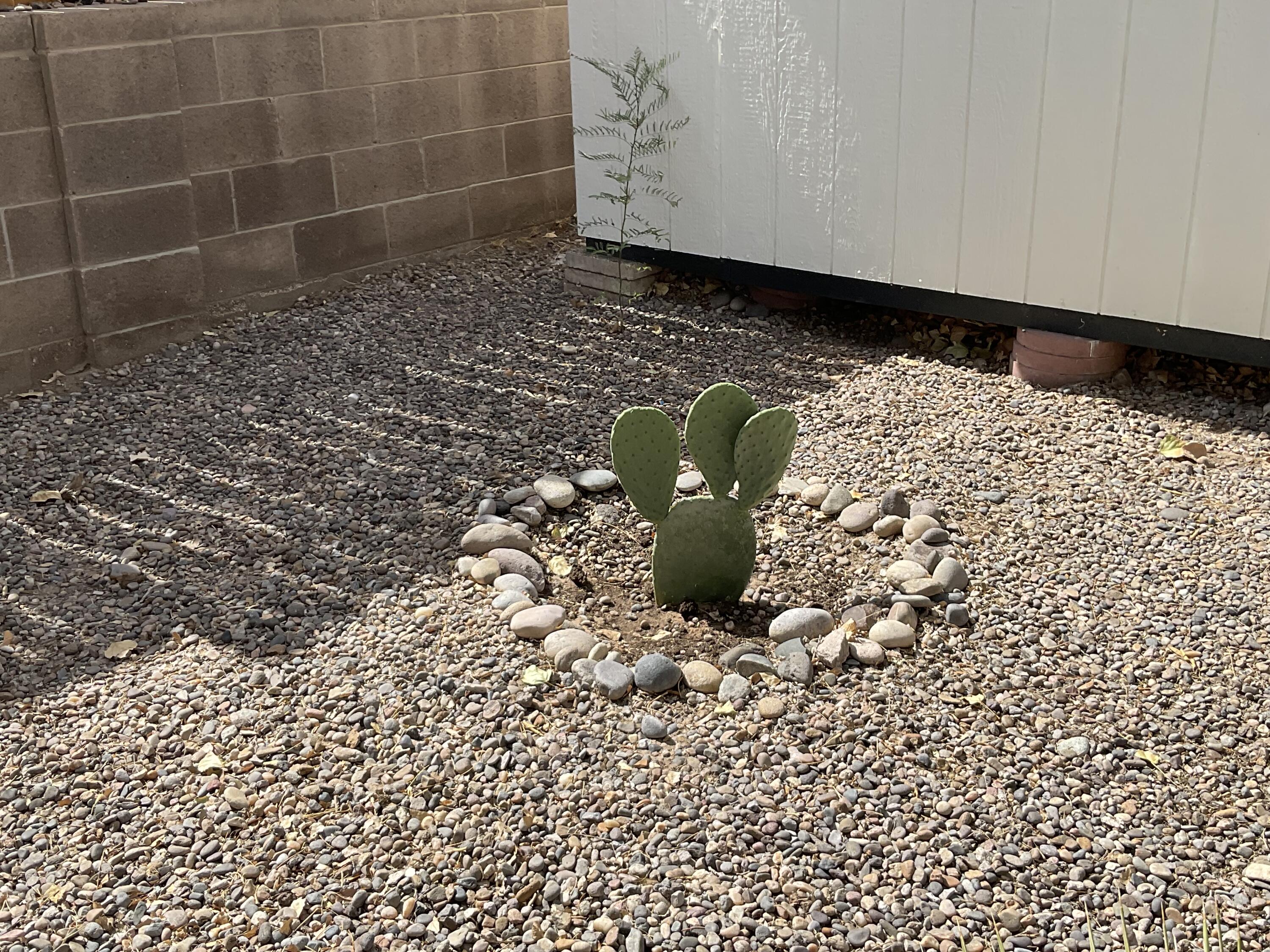 Photo 9 — 1313 Elkslip Drive NE