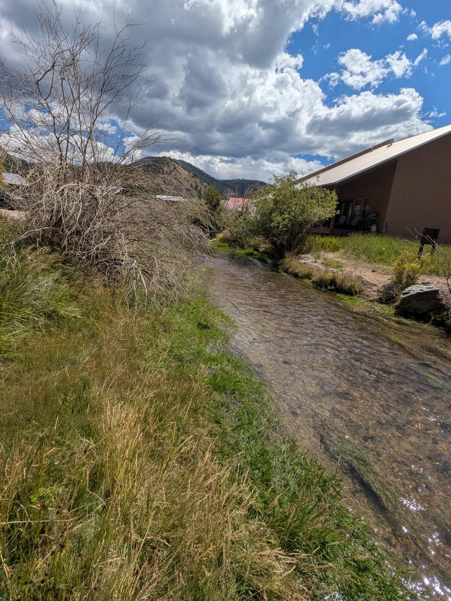 Photo 5 — 101 Oro Fino Trail 7