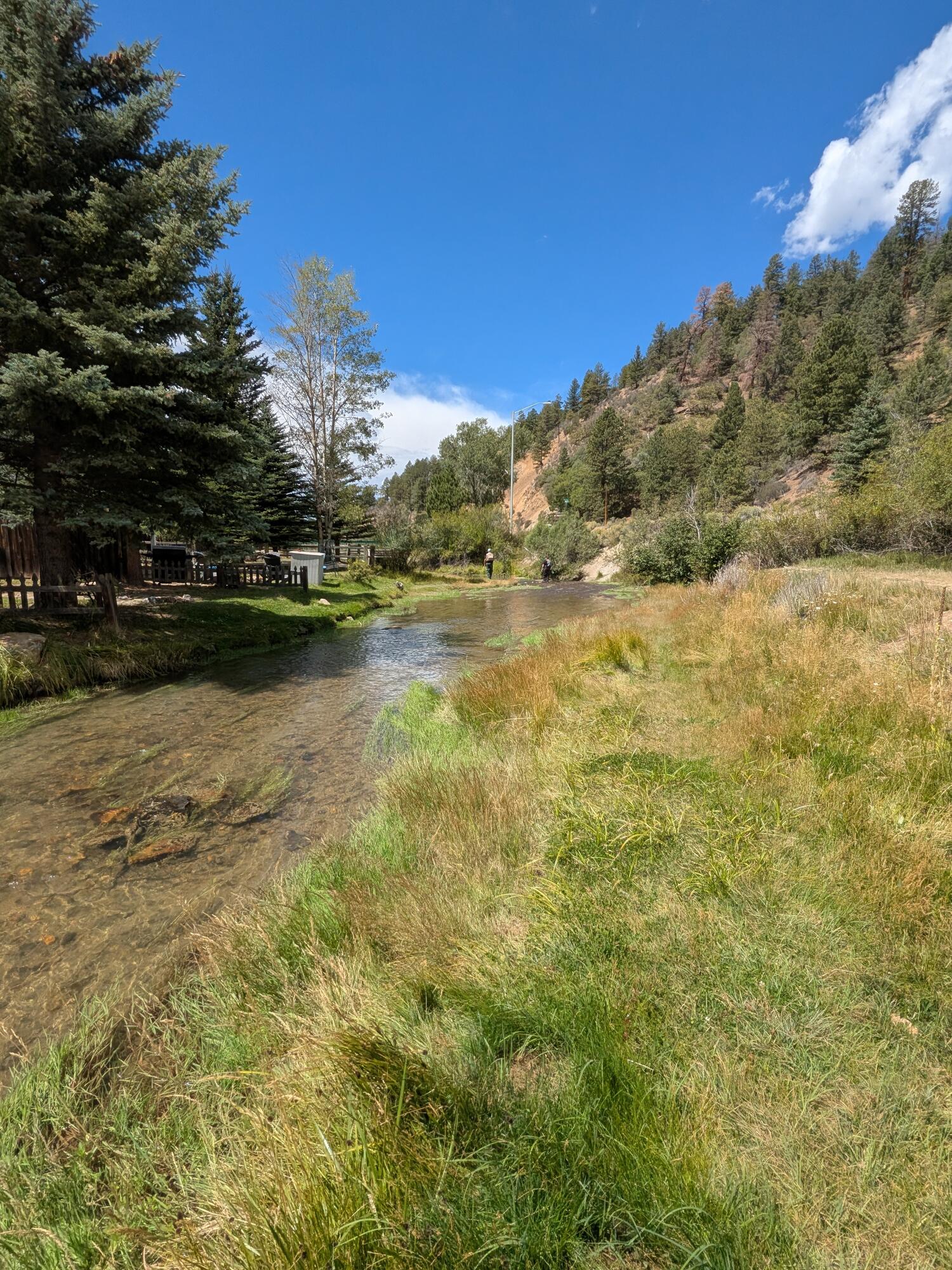 Photo 4 — 101 Oro Fino Trail 7