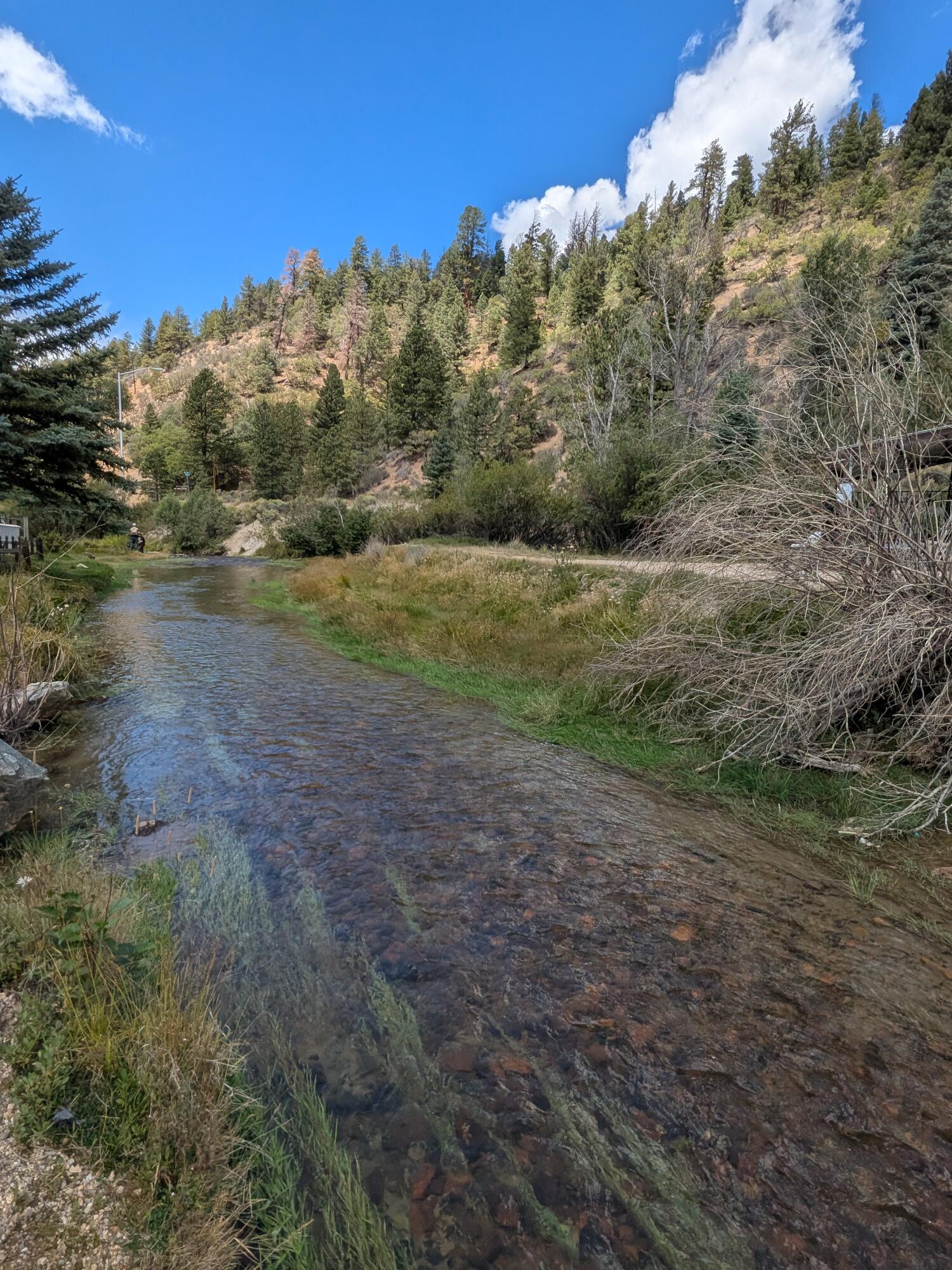 Photo 3 — 101 Oro Fino Trail 7