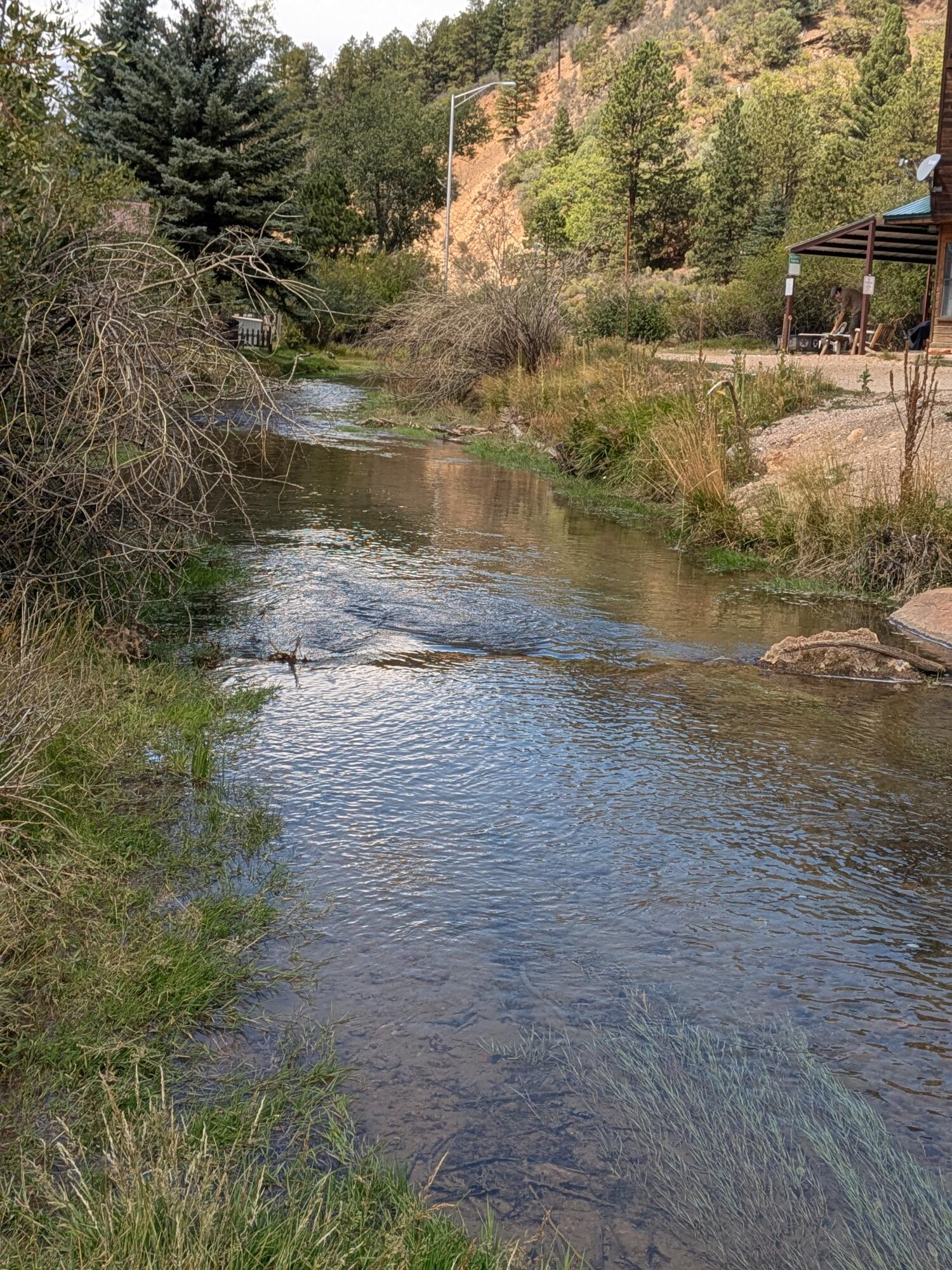 Photo 2 — 101 Oro Fino Trail 7