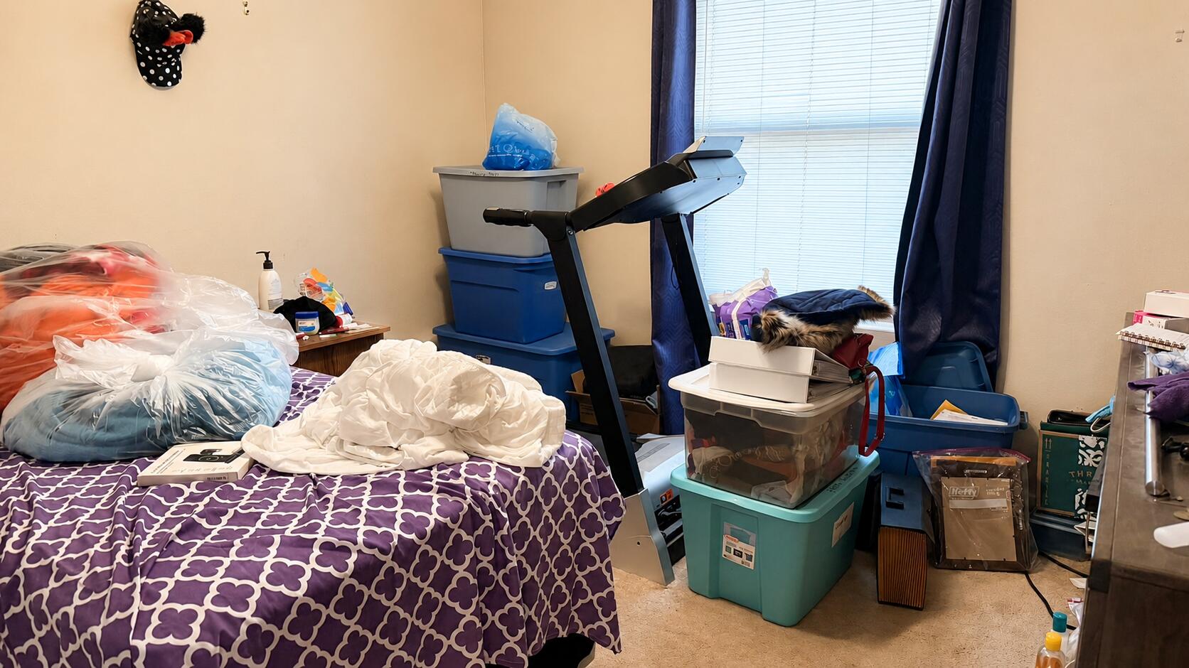 Photo 13 — 2709 Georgene Drive NE