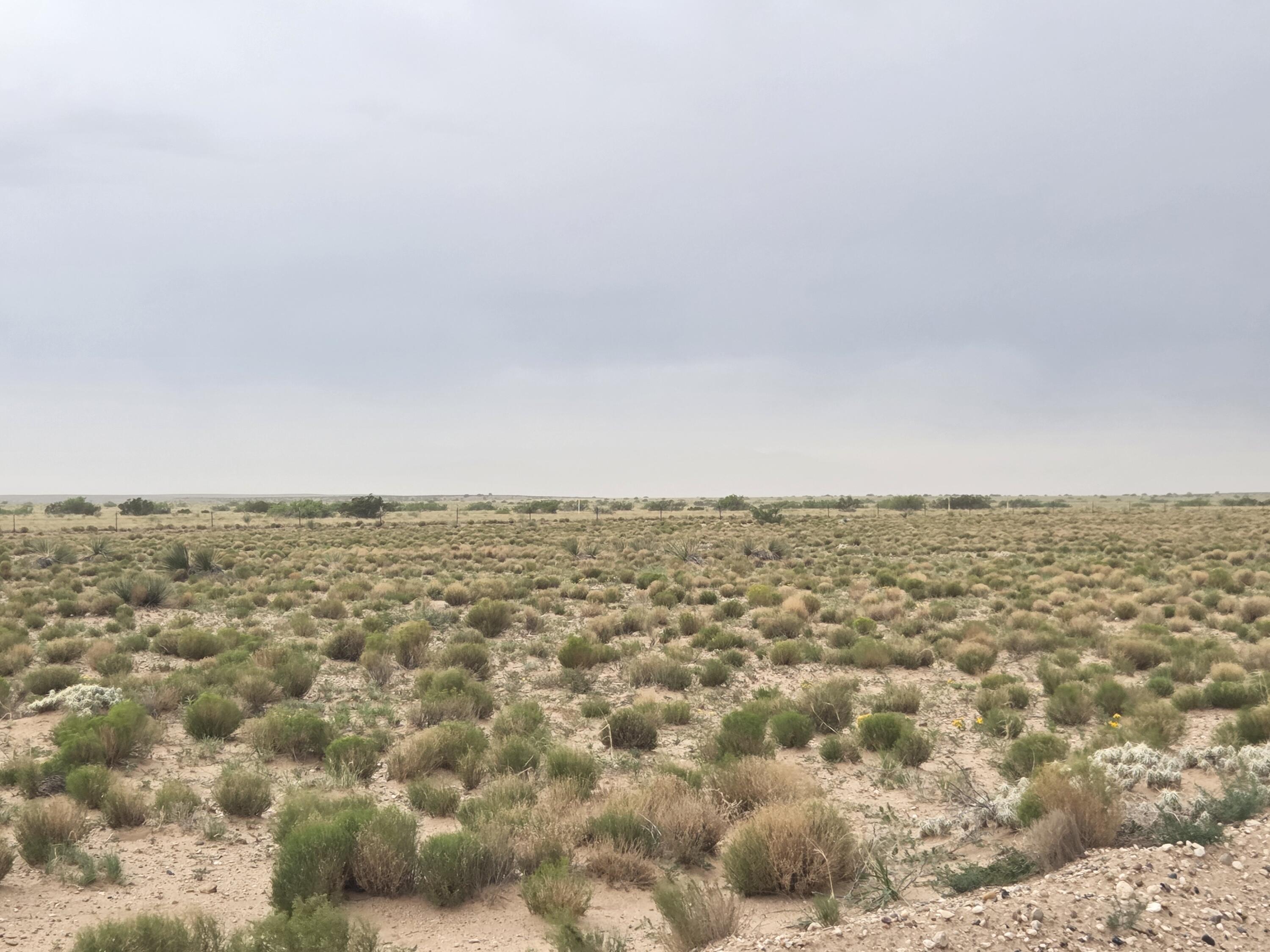 Photo 9 — VL RGE Lot 5 Block 522 15