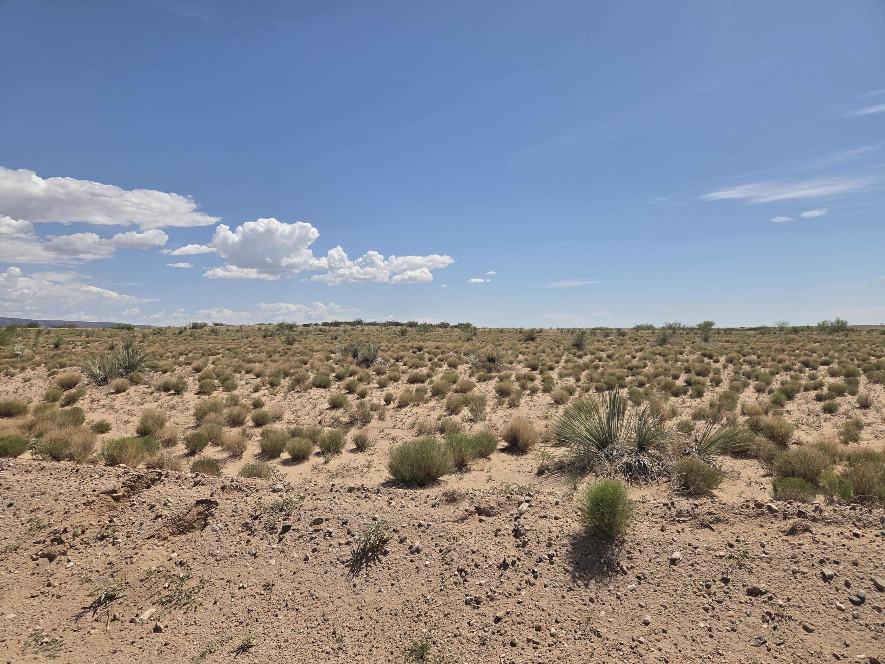 Photo 4 — VL RGE Lot 5 Block 522 15