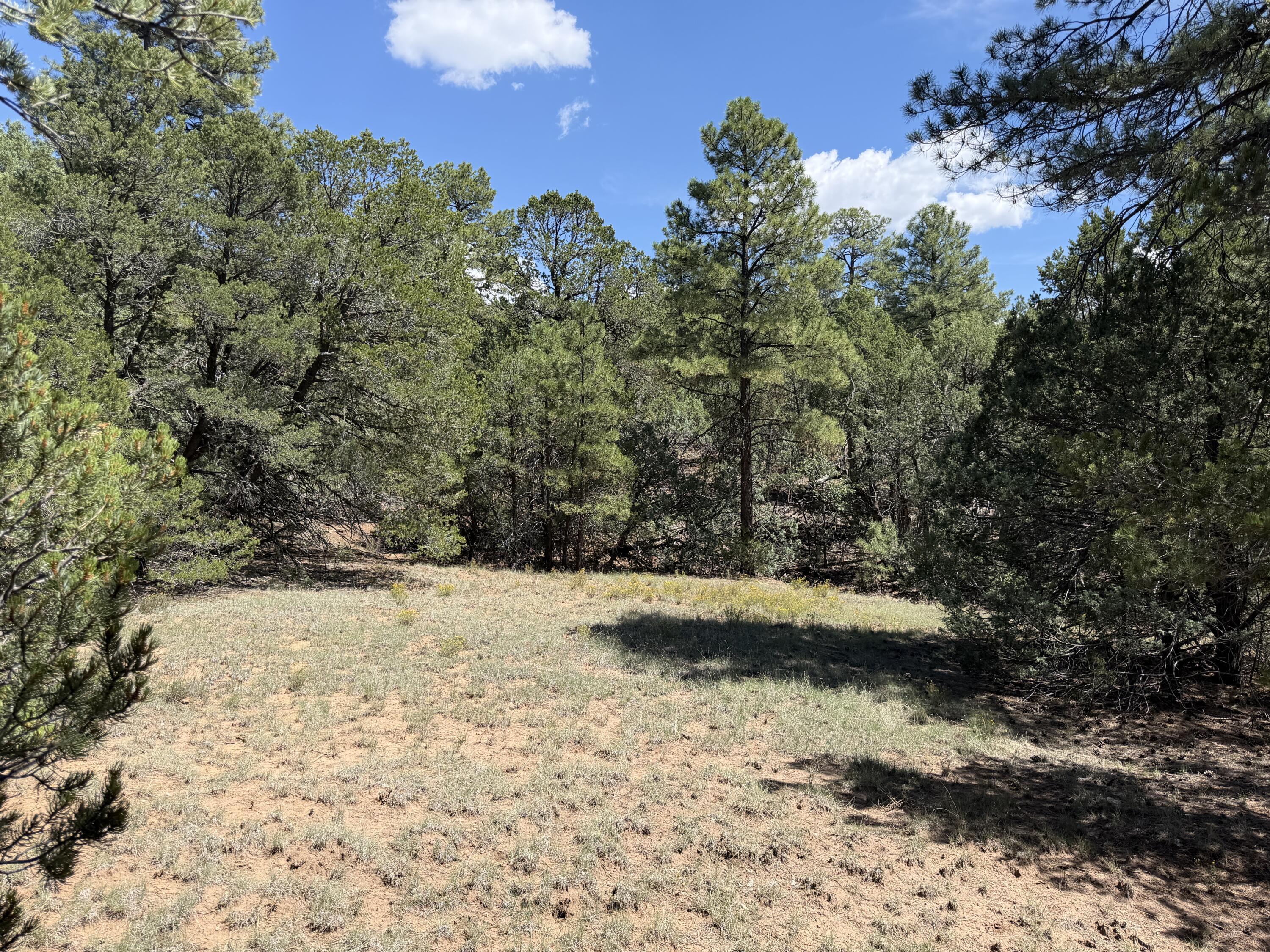 137 Raven Road, Tijeras, NM 87059