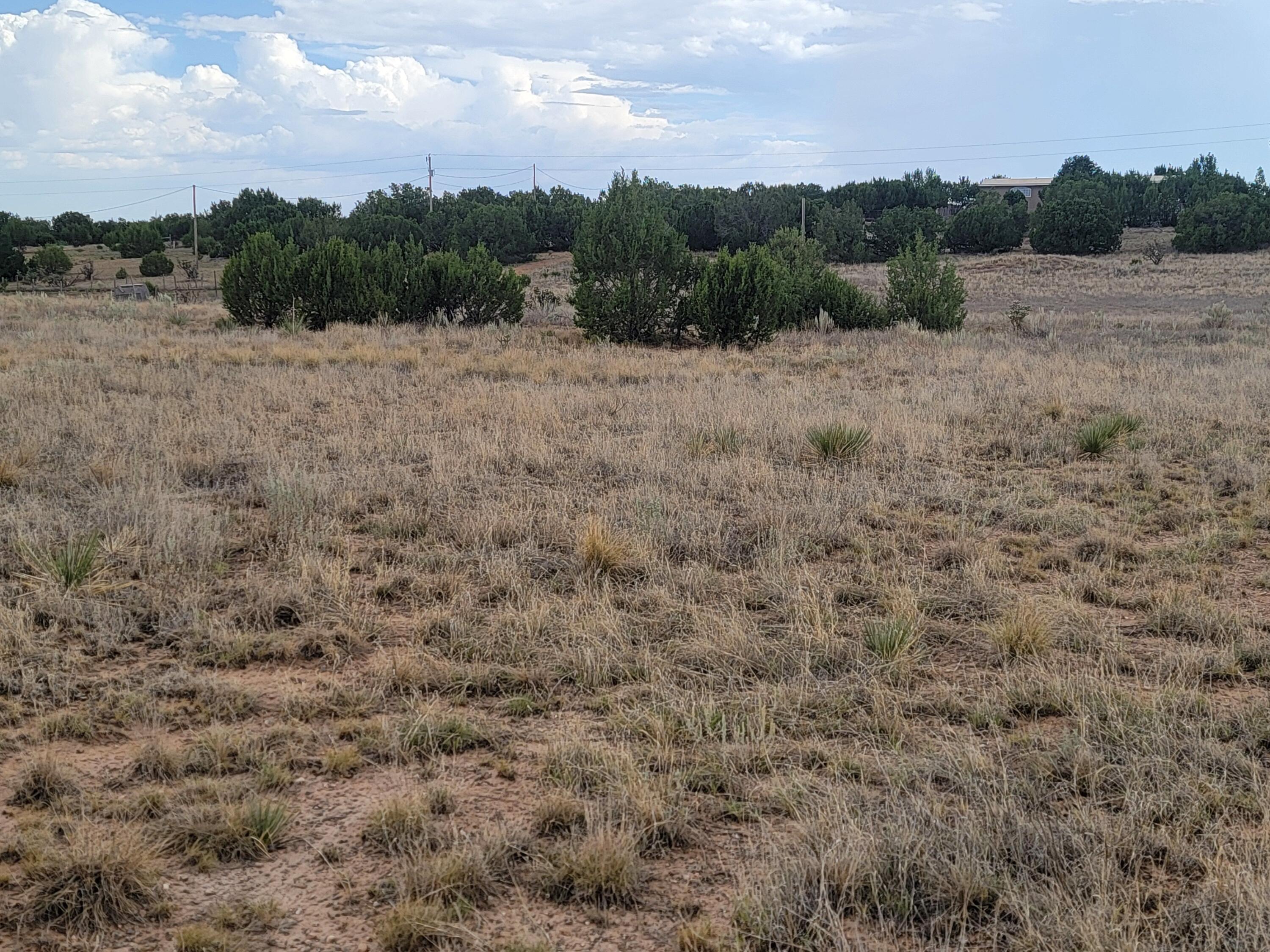 3332 Martinez Road, Moriarty, NM 87035