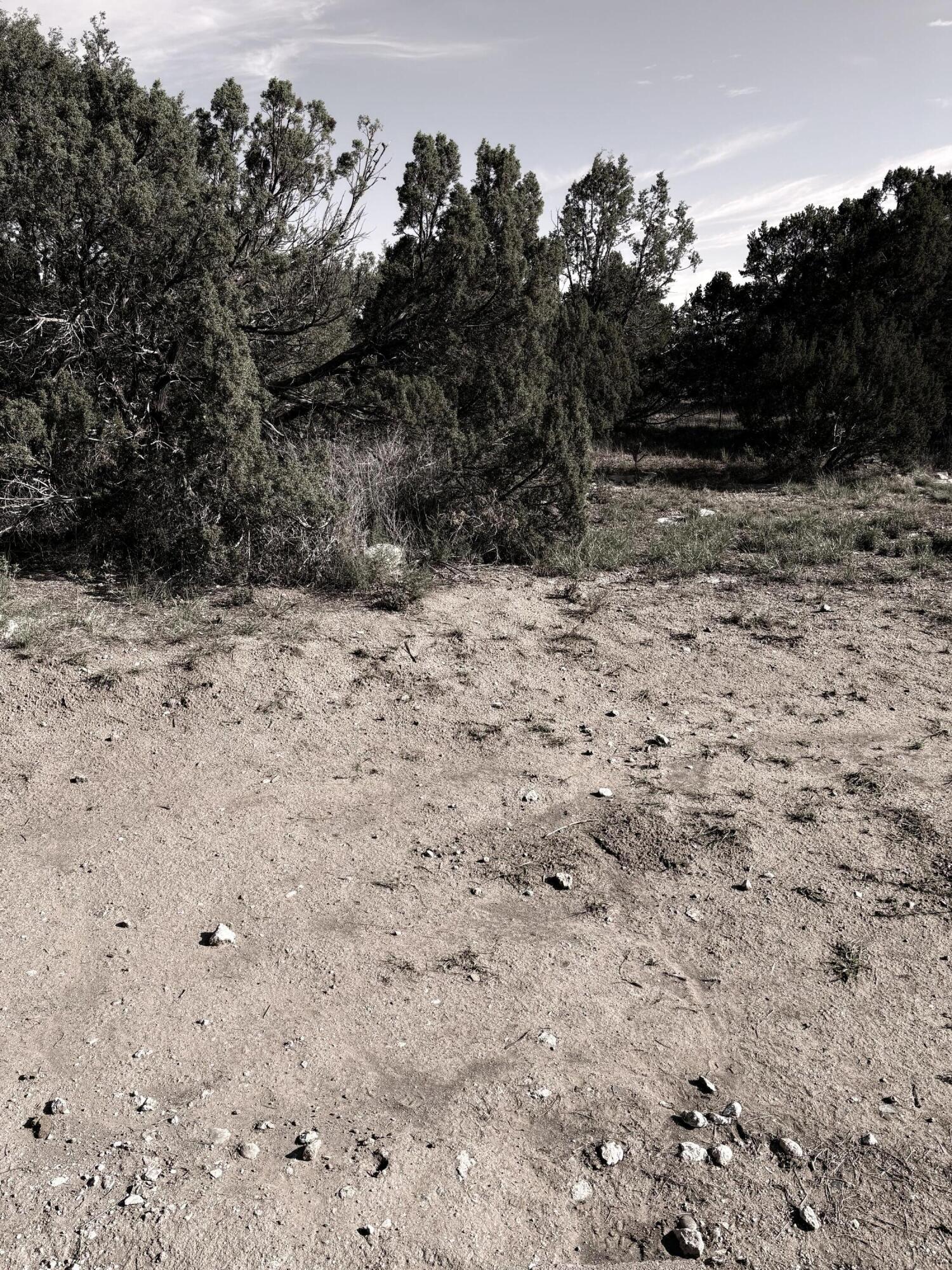 Photo 2 — 45 Holli Loop