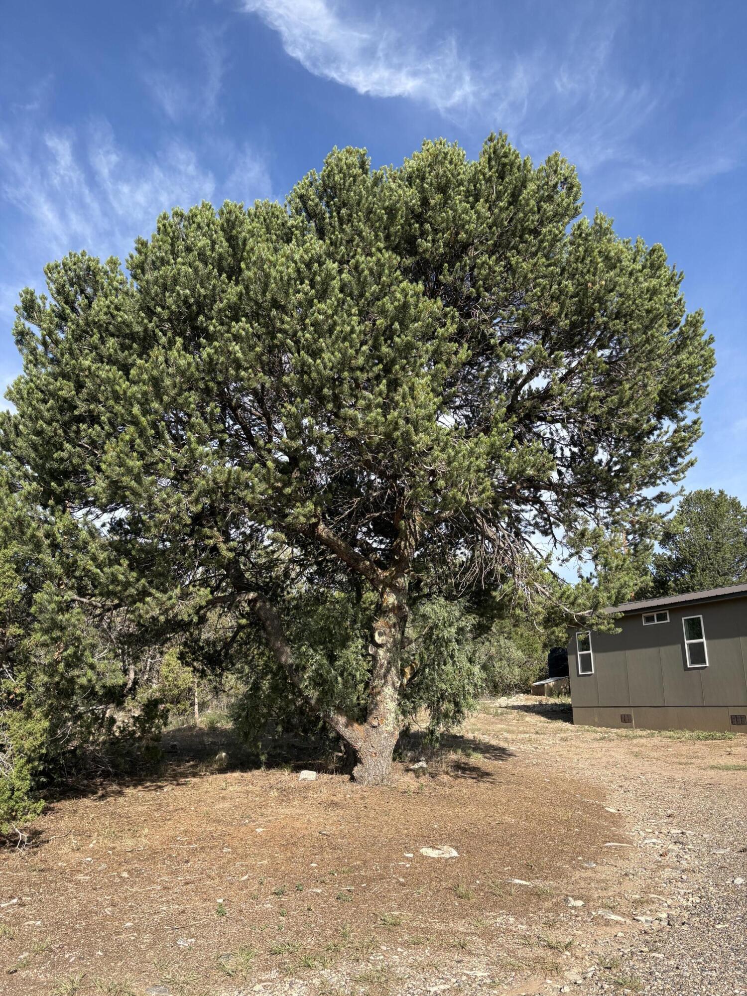 Photo 17 — 45 Holli Loop