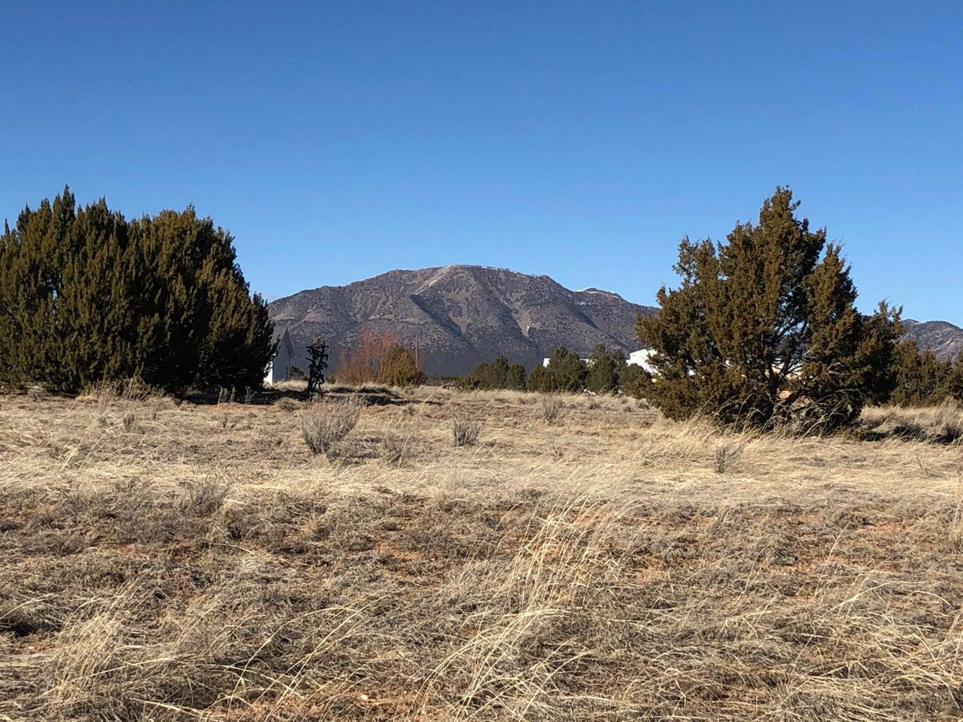 23 Joe Mae Road, Edgewood, NM 87015