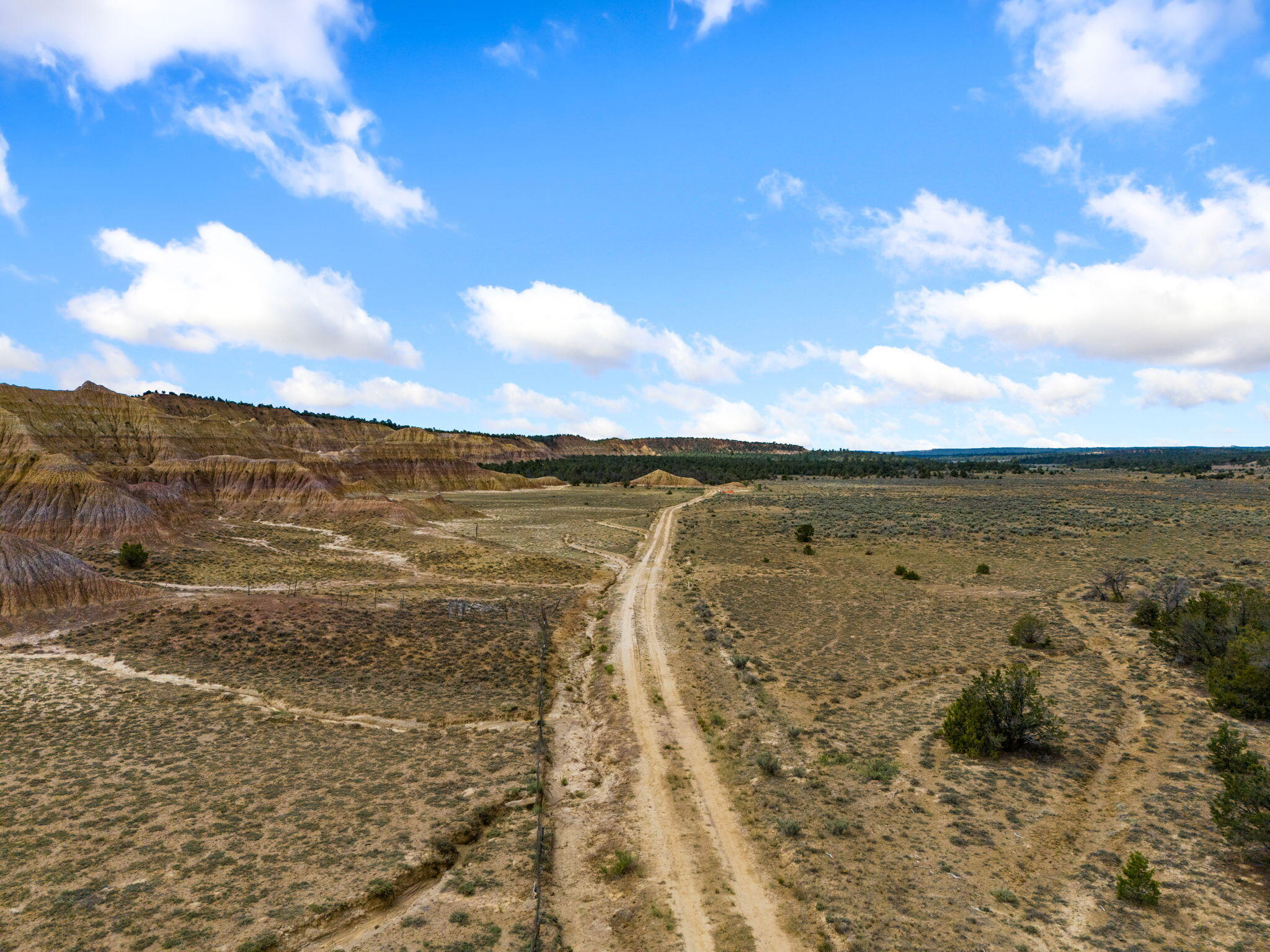 Photo 8 — TBD San Jose Trail NW