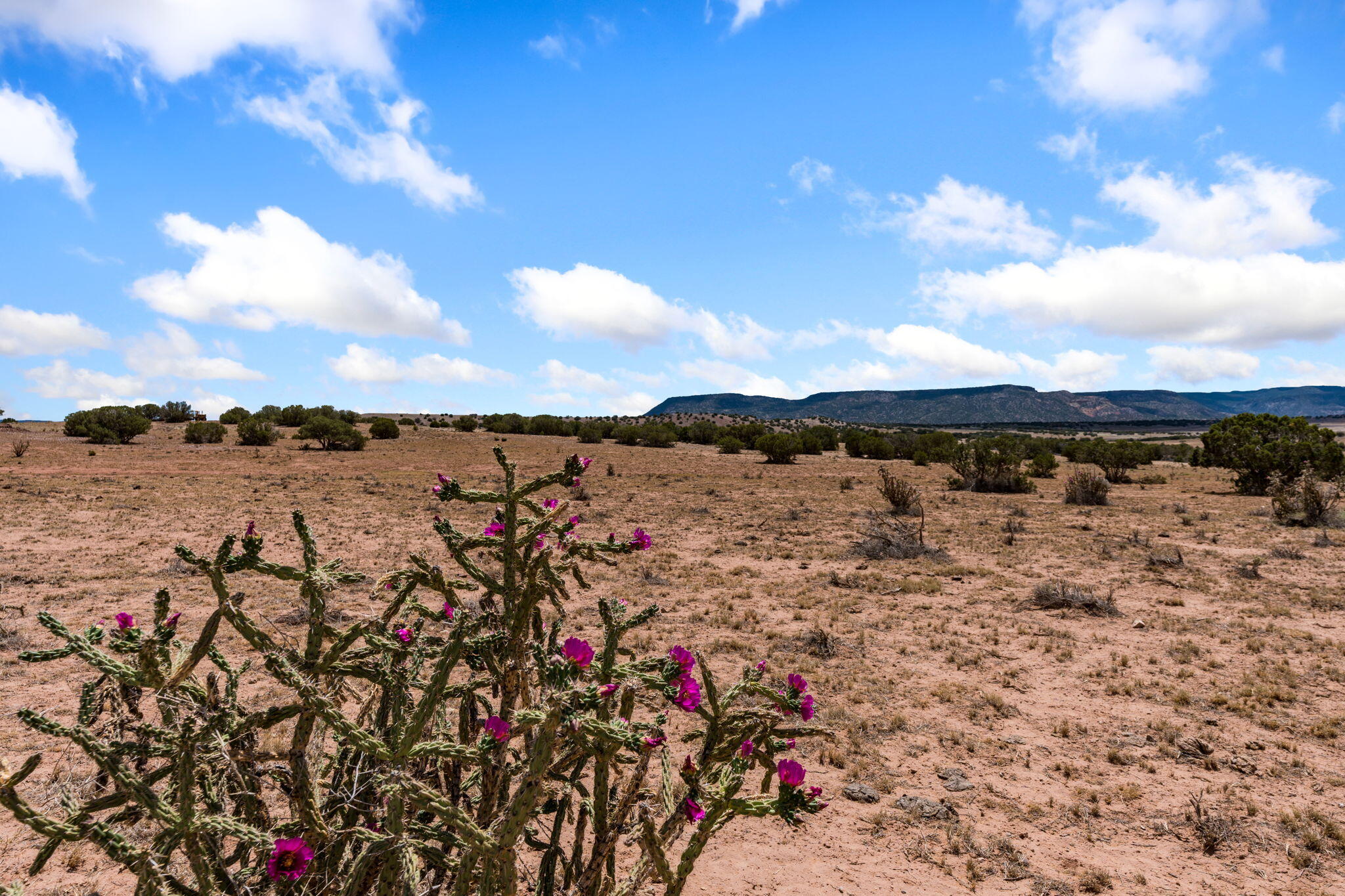Photo 2 — TBD San Jose Trail NW