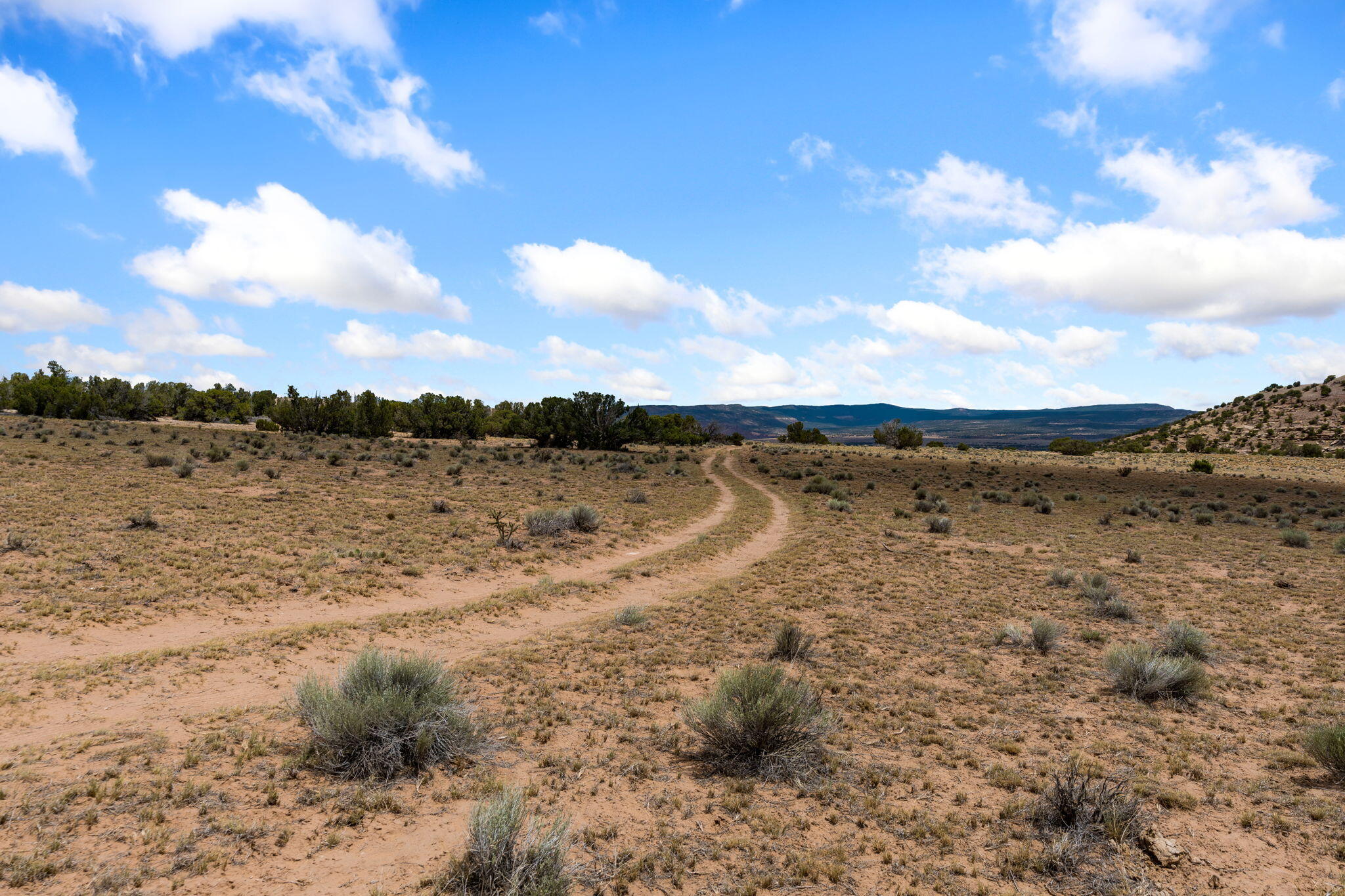 Photo 5 — TBD San Jose Trail NW