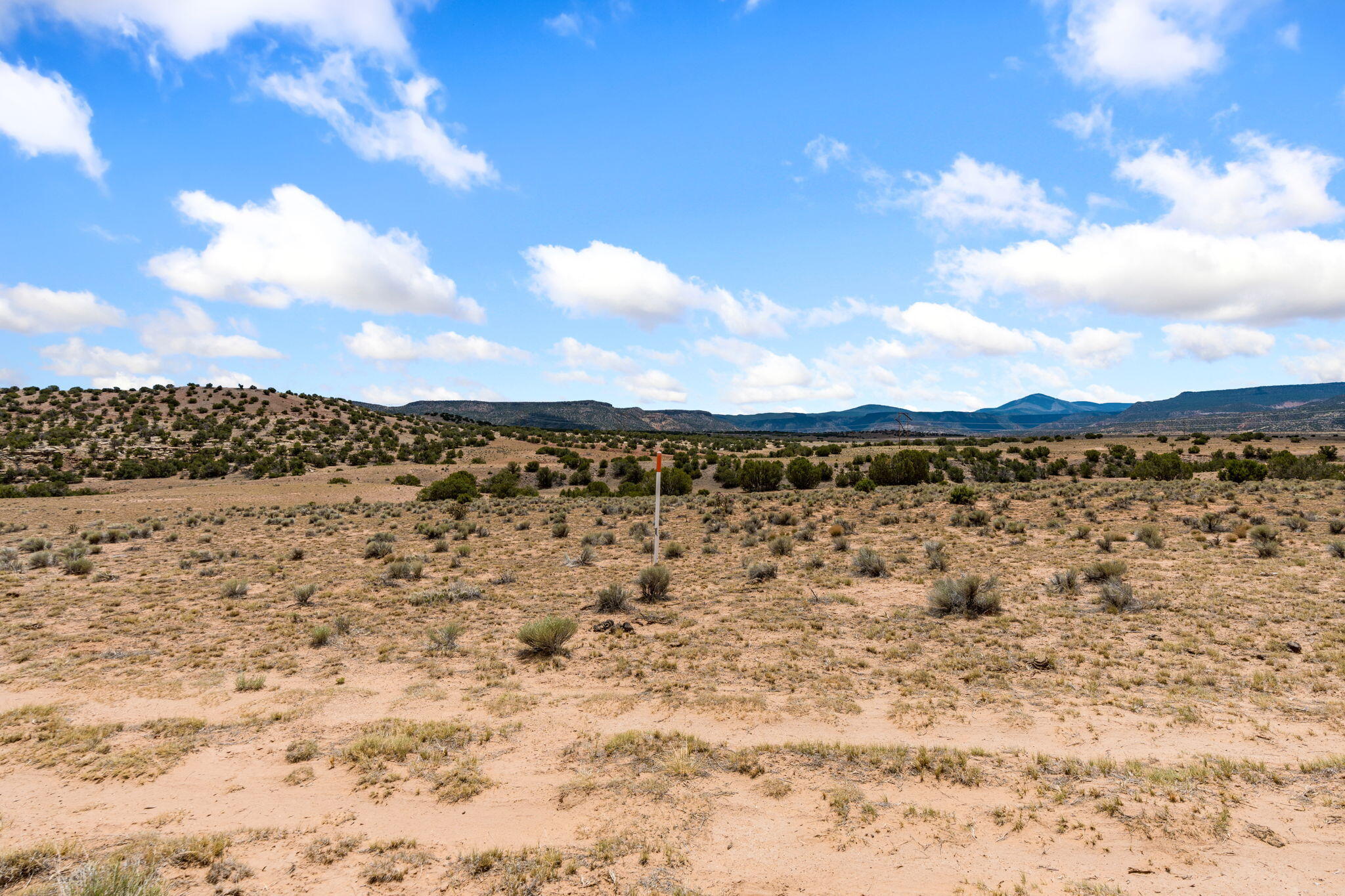 Photo 6 — TBD San Jose Trail NW