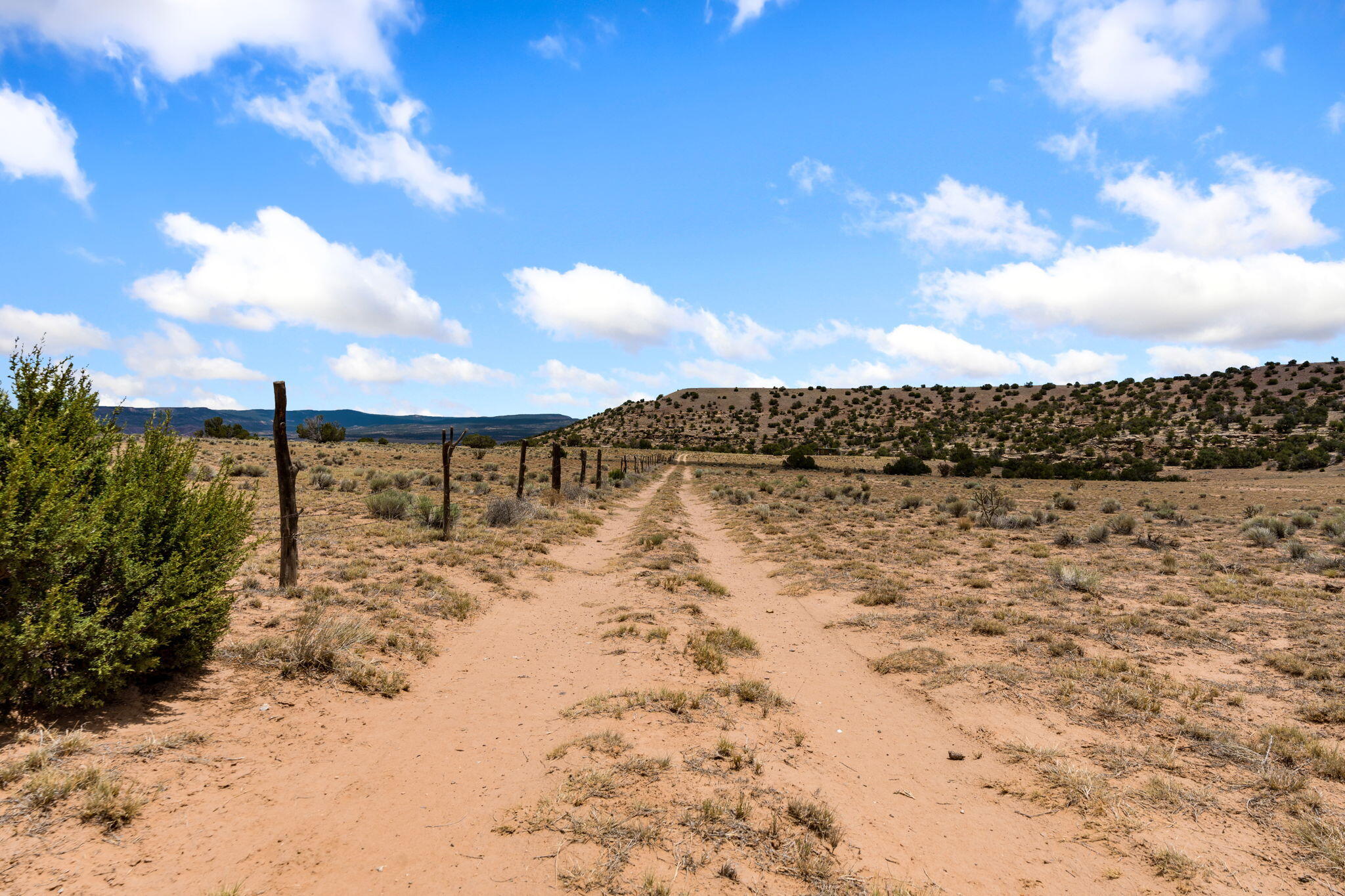 Photo 7 — TBD San Jose Trail NW