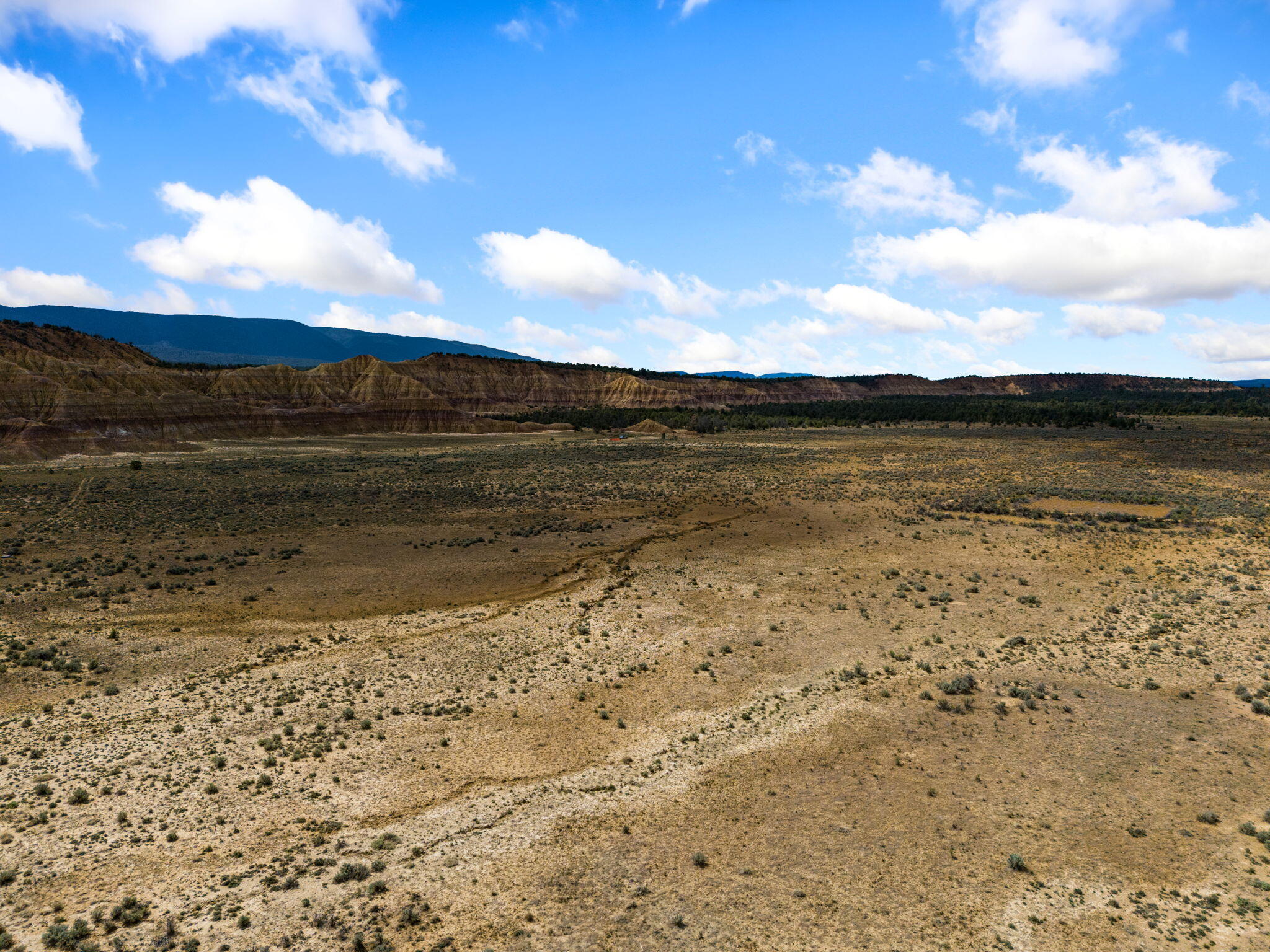 Photo 12 — TBD San Jose Trail NW
