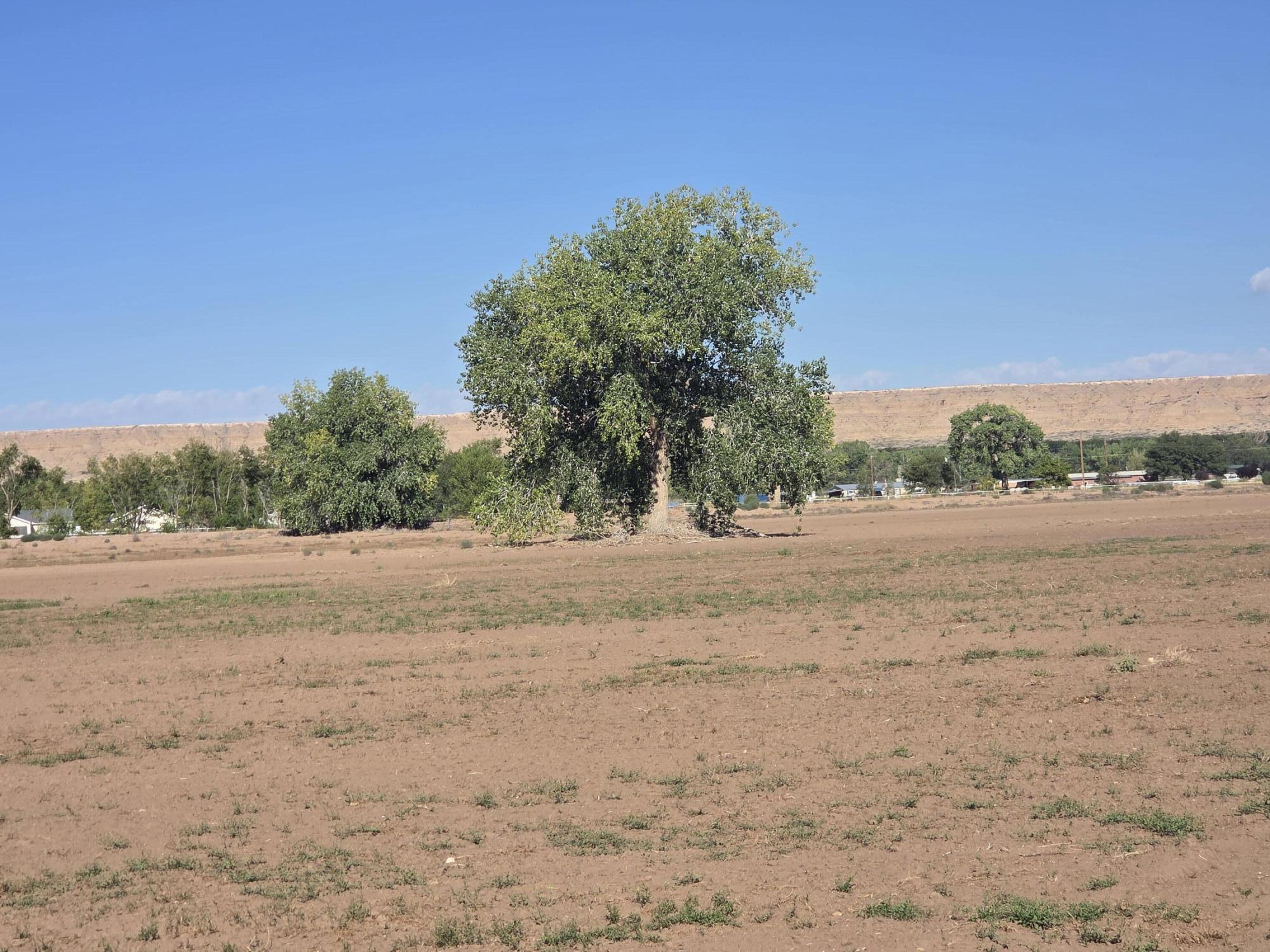 VL LAND OF ATALIO CHAVEZ Tract: A E-5-18