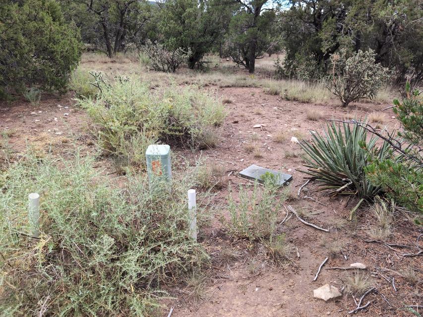 Photo 3 — 11 Pinon Grande