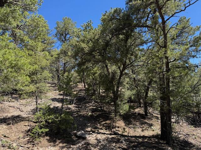 Photo 20 — 30 Rancho Verde Road