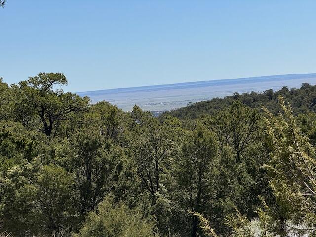 Photo 19 — 30 Rancho Verde Road