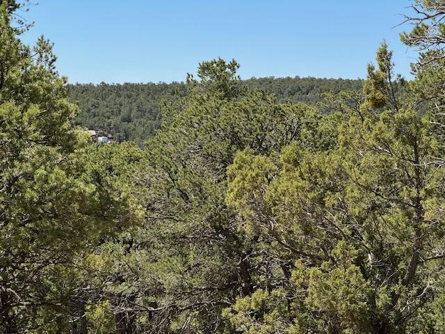 Photo 16 — 30 Rancho Verde Road