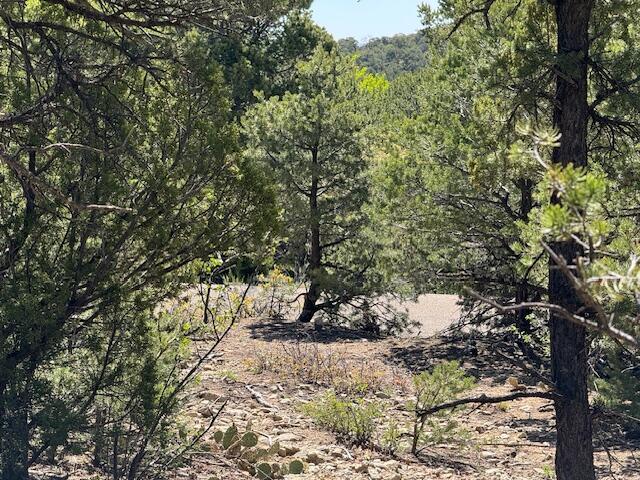 Photo 15 — 30 Rancho Verde Road