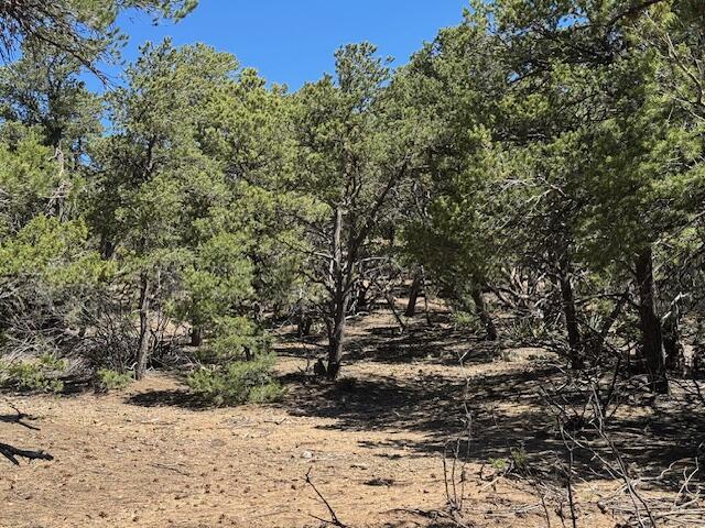 Photo 13 — 30 Rancho Verde Road