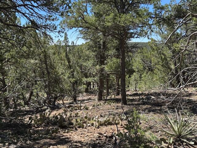 Photo 12 — 30 Rancho Verde Road