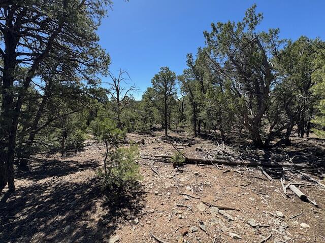 Photo 10 — 30 Rancho Verde Road