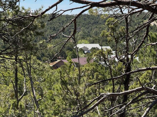 Photo 8 — 30 Rancho Verde Road
