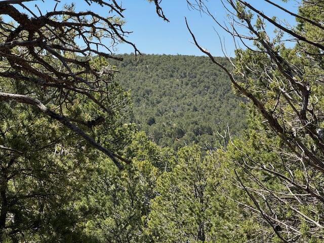 Photo 7 — 30 Rancho Verde Road