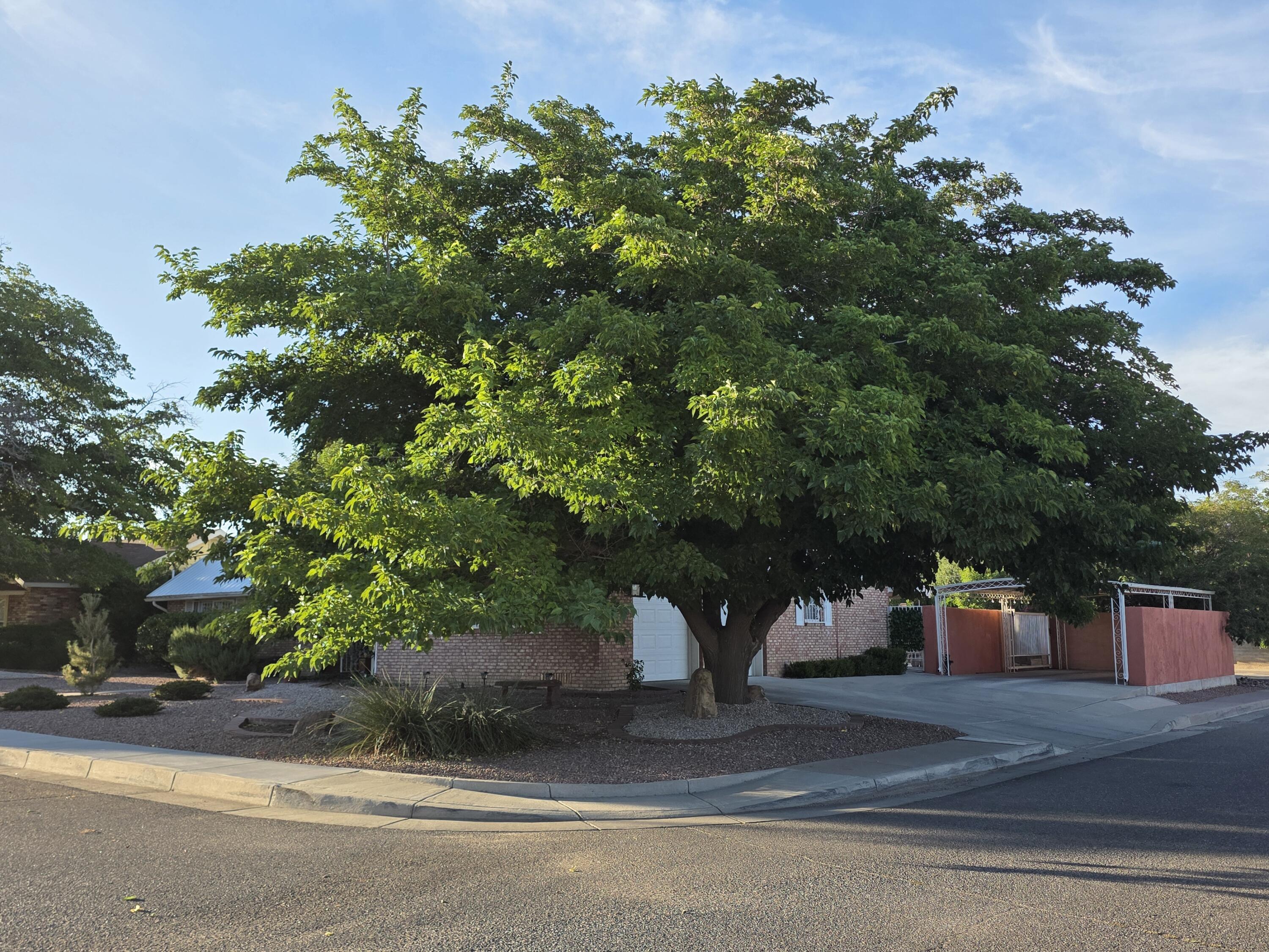 Photo 20 — 6900 Seminole Road NE