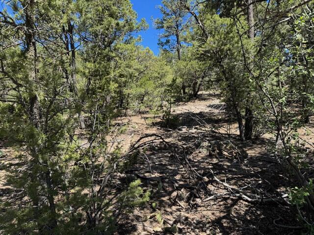 Photo 8 — 26 & 30 Rancho Verde Road