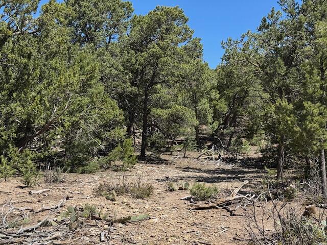 Photo 12 — 26 & 30 Rancho Verde Road