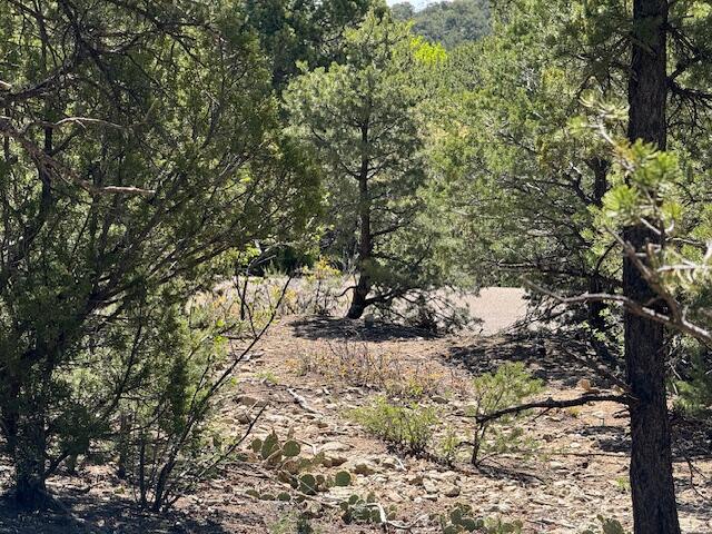 Photo 15 — 26 & 30 Rancho Verde Road