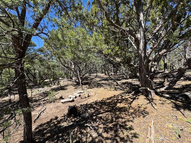 Photo 20 — 26 & 30 Rancho Verde Road