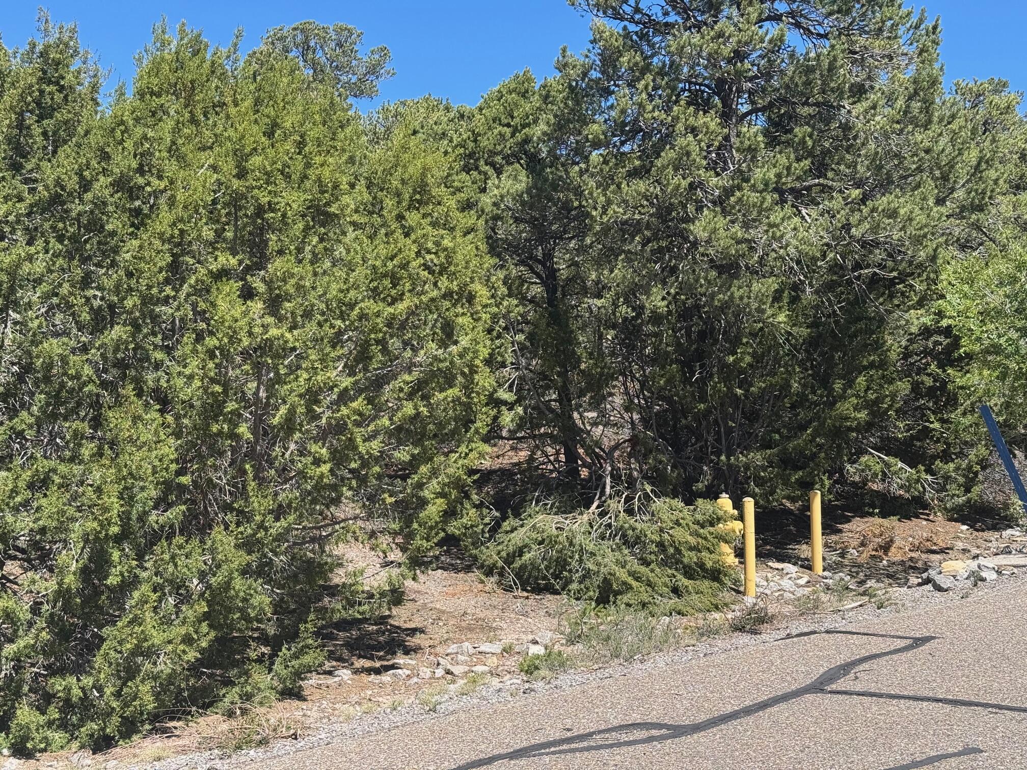 Photo 2 — 26 & 30 Rancho Verde Road