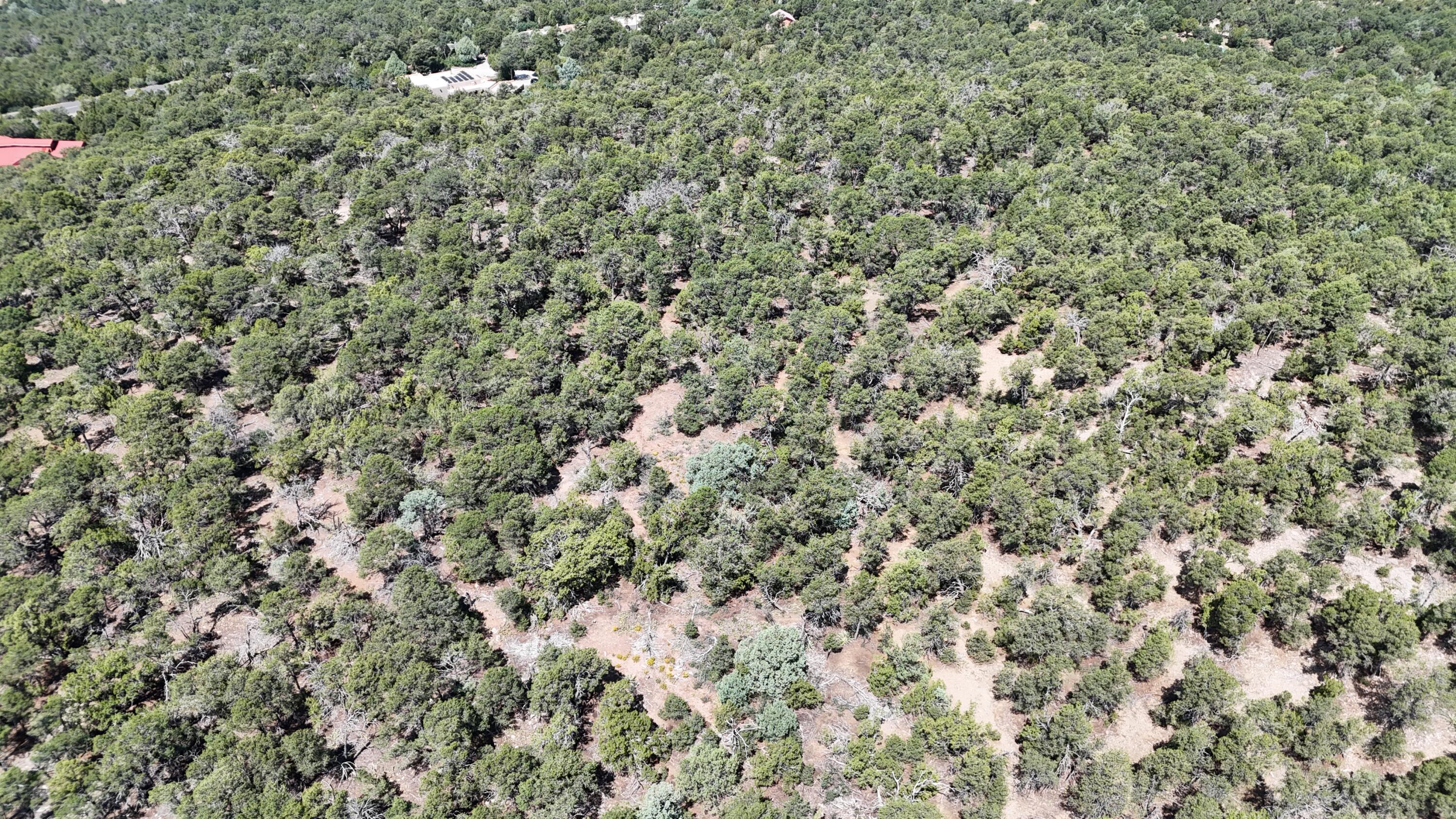 Photo 6 — 26 & 30 Rancho Verde Road