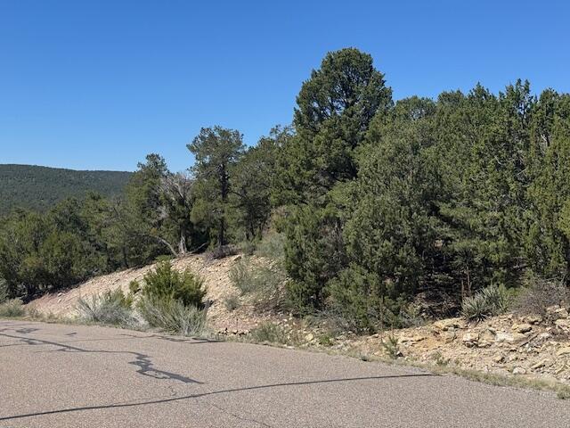 Photo 7 — 26 & 30 Rancho Verde Road