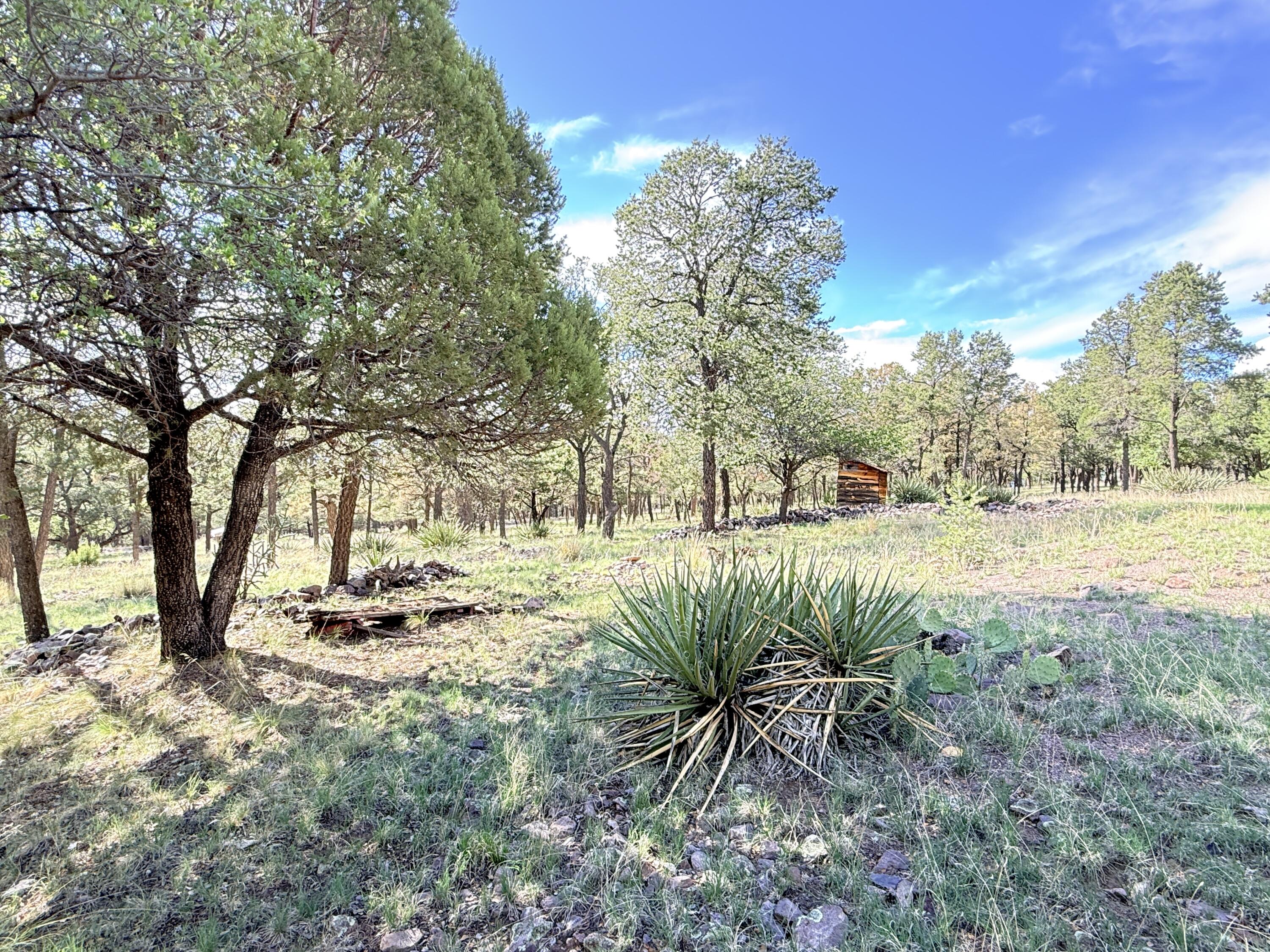 Photo 2 — 9 Cochise Drive