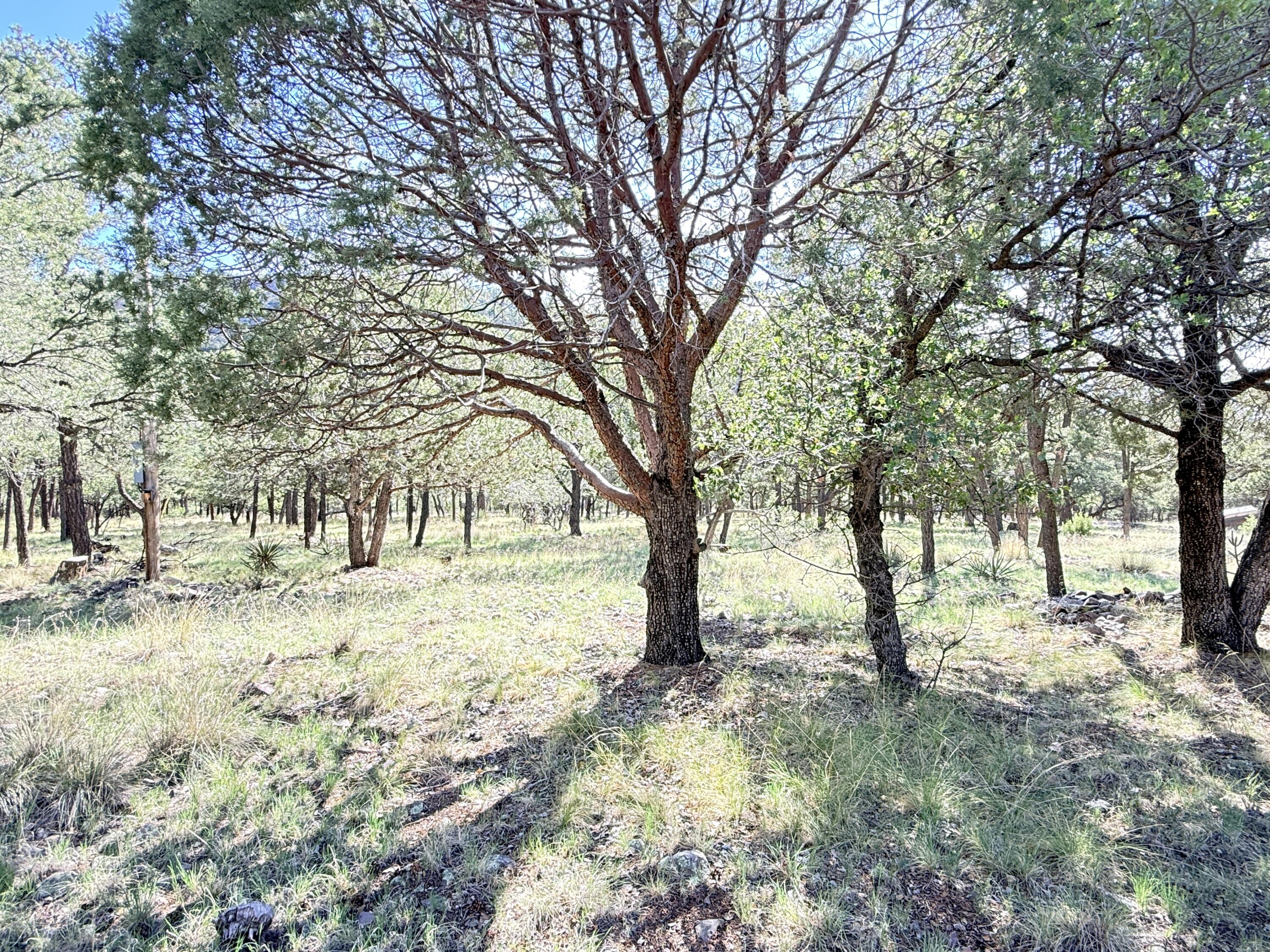 Photo 3 — 9 Cochise Drive