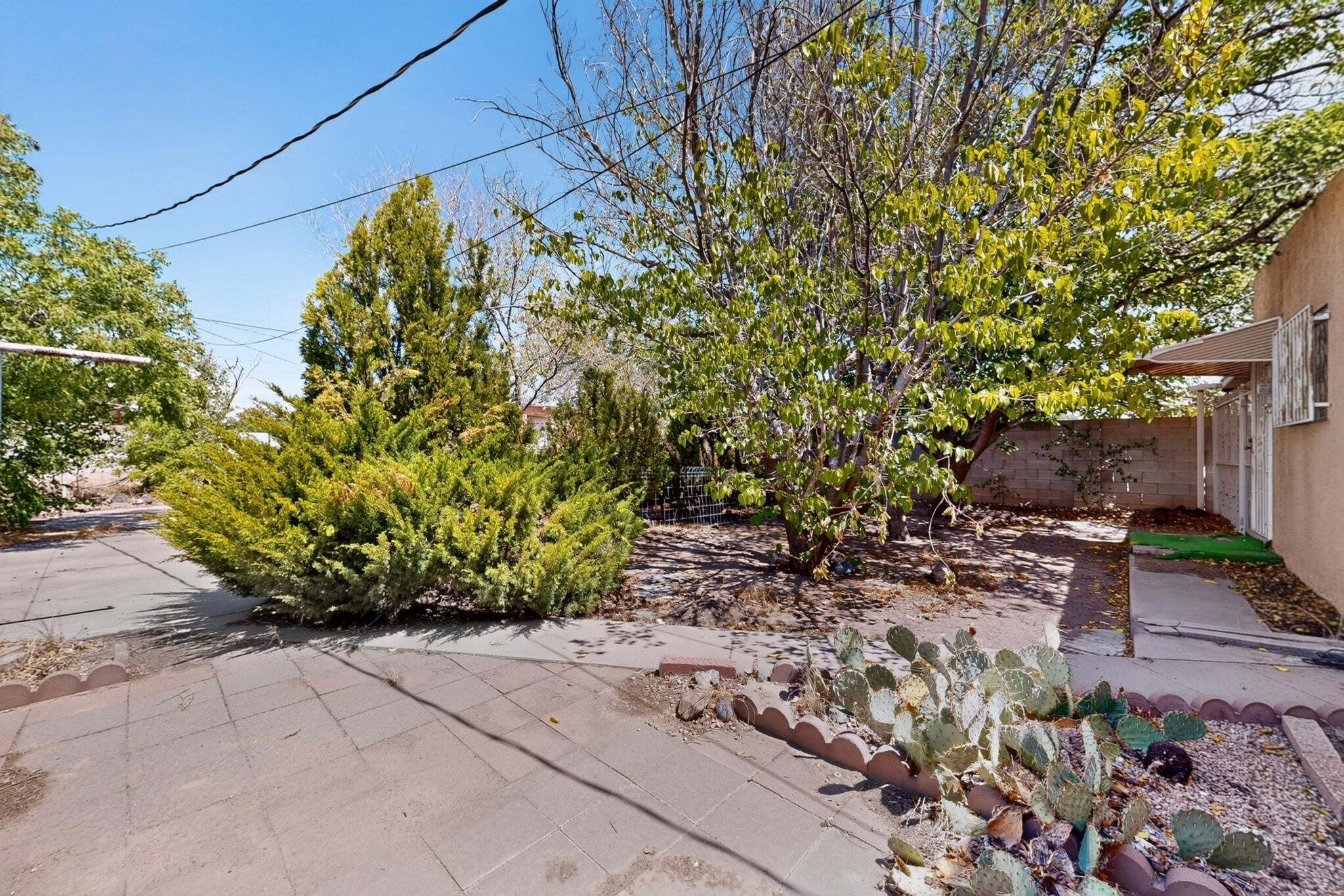 Photo 12 — 823 Headingly Avenue NW