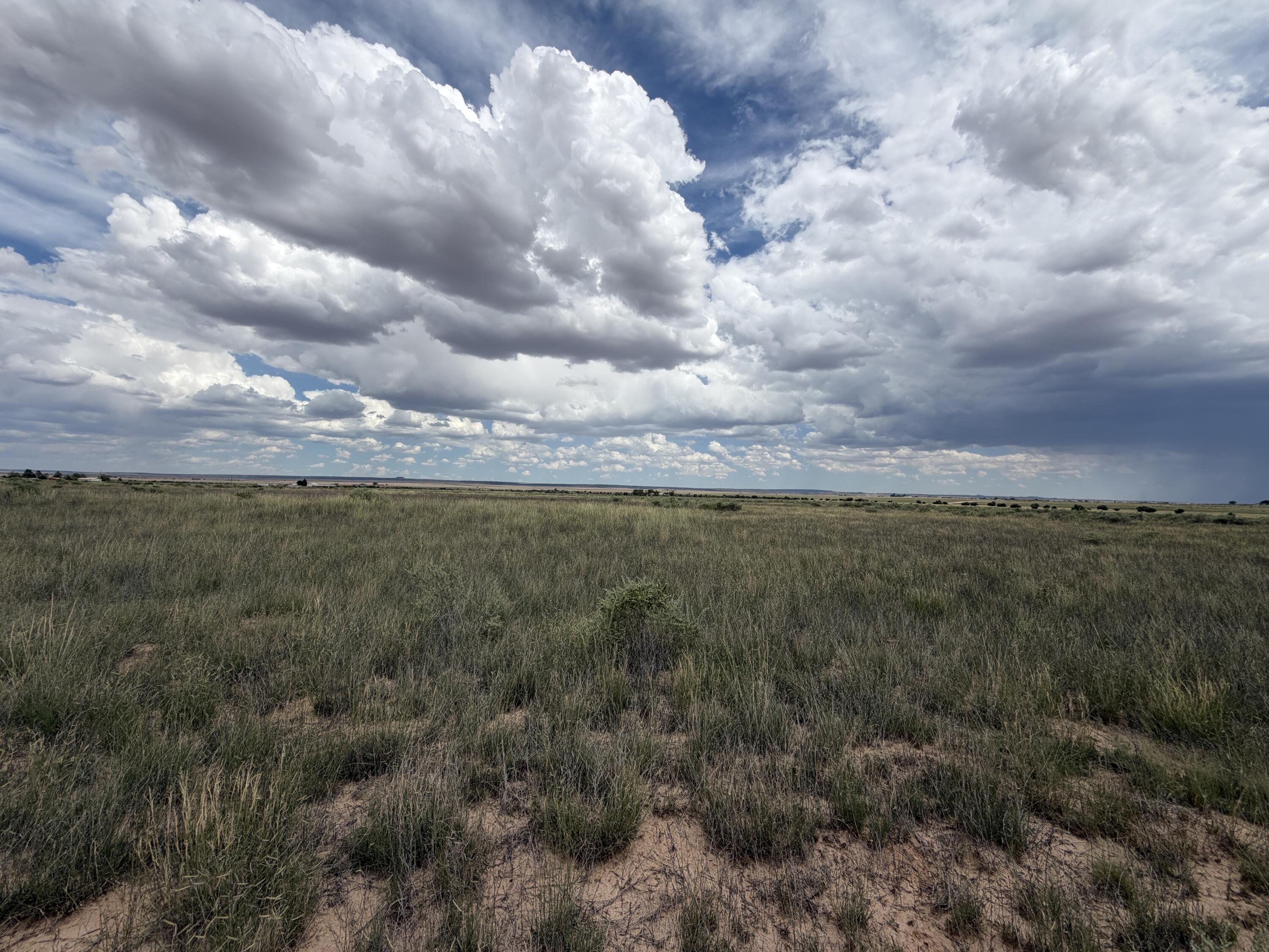 Photo 6 — lot 39 Morgan Street