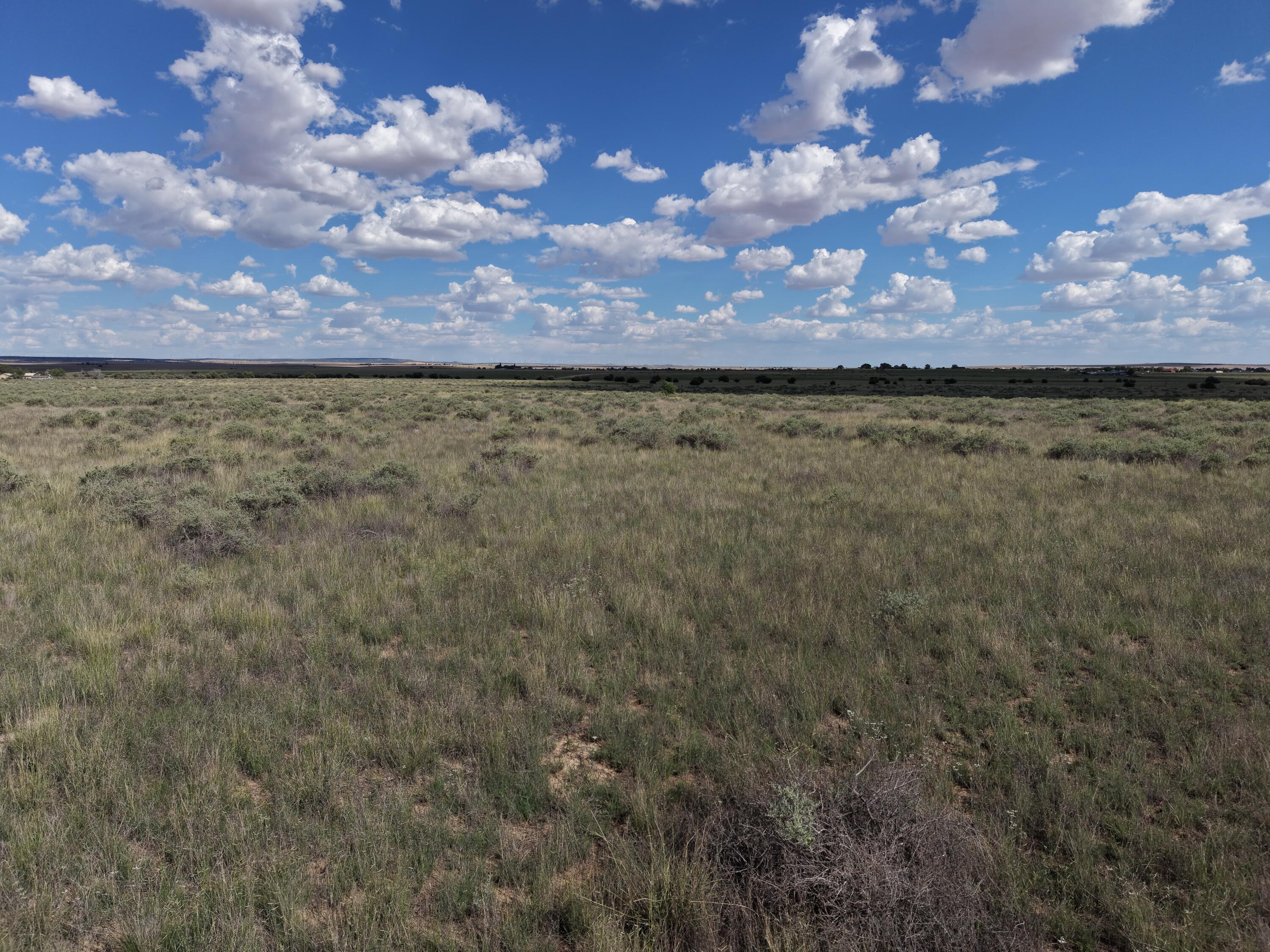 Photo 2 — lot 39 Morgan Street
