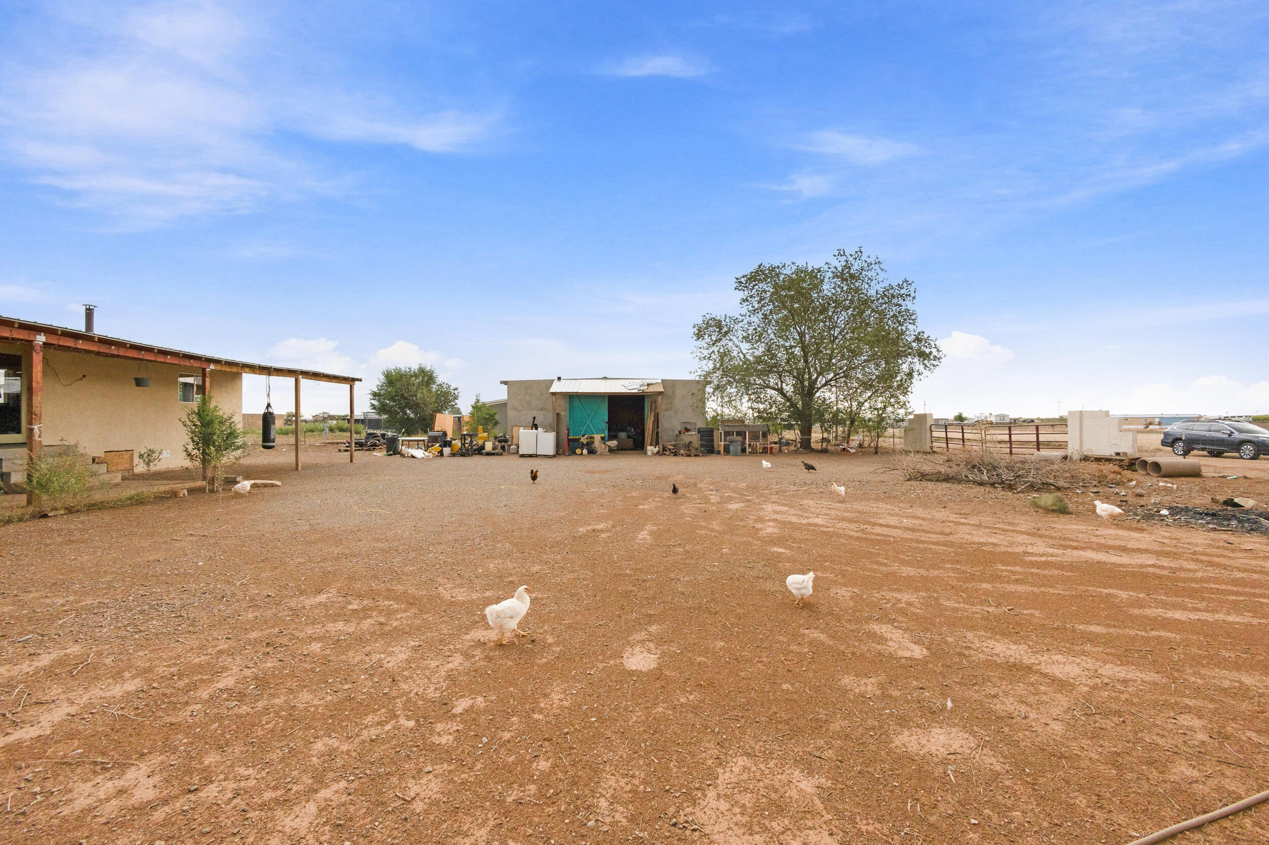 Photo 4 — 56 Capitan Street