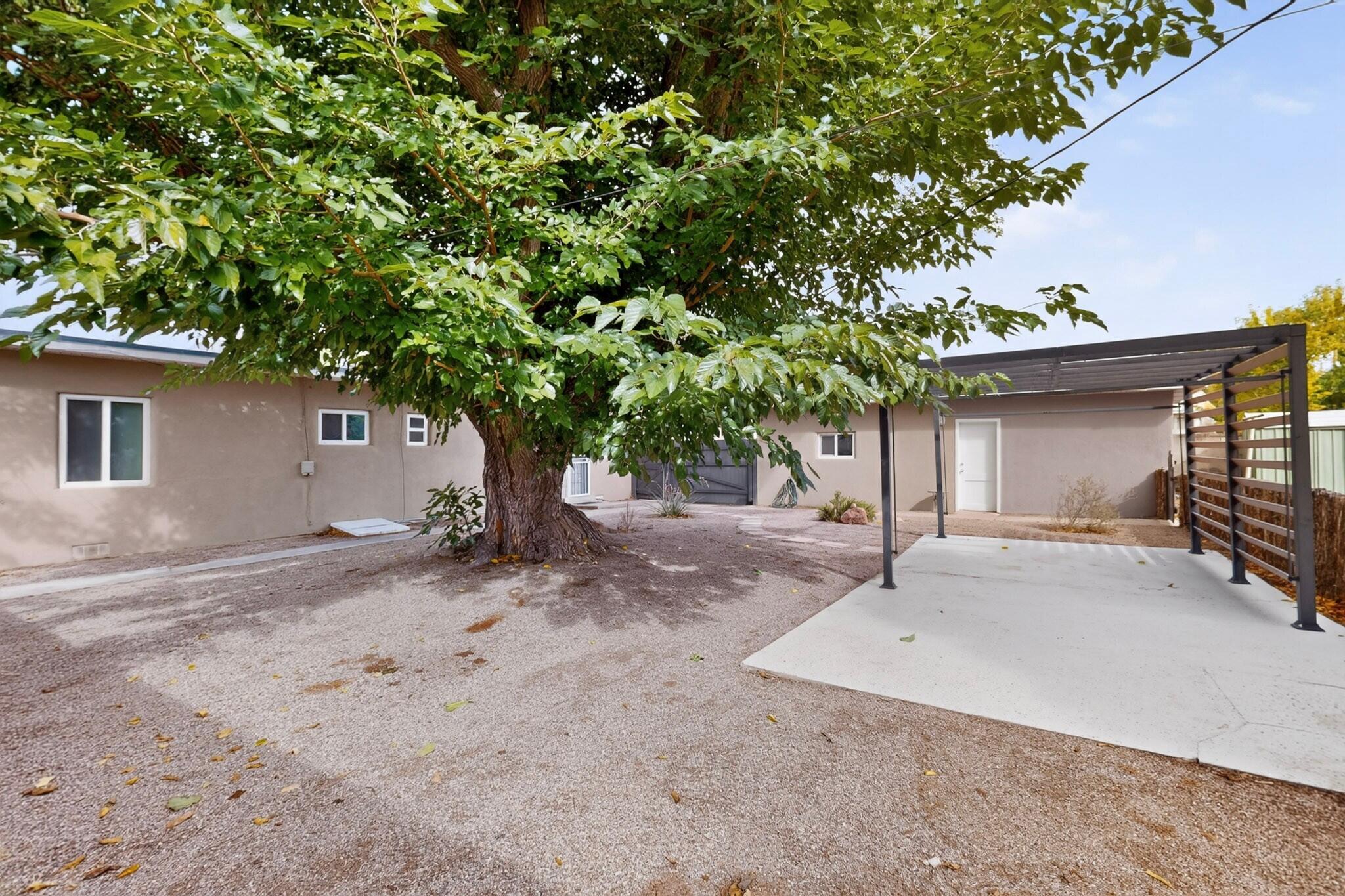 Photo 14 — 1208 Morningside Drive NE
