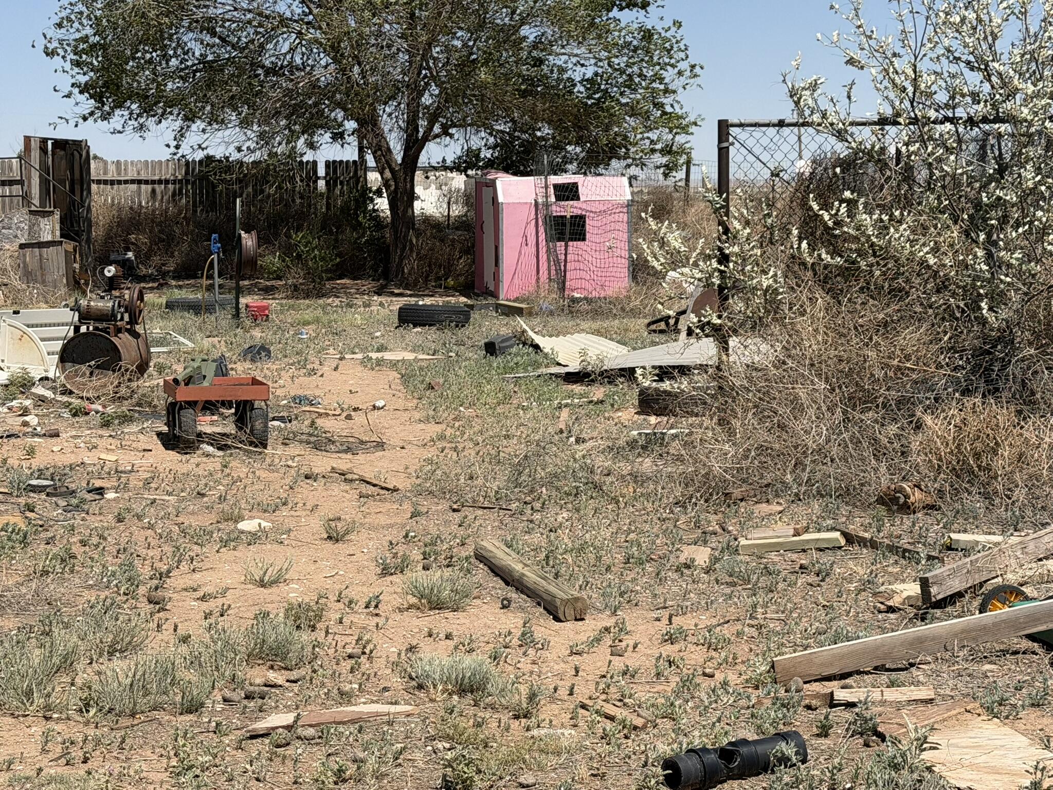 Photo 3 — 134 Marshall Road