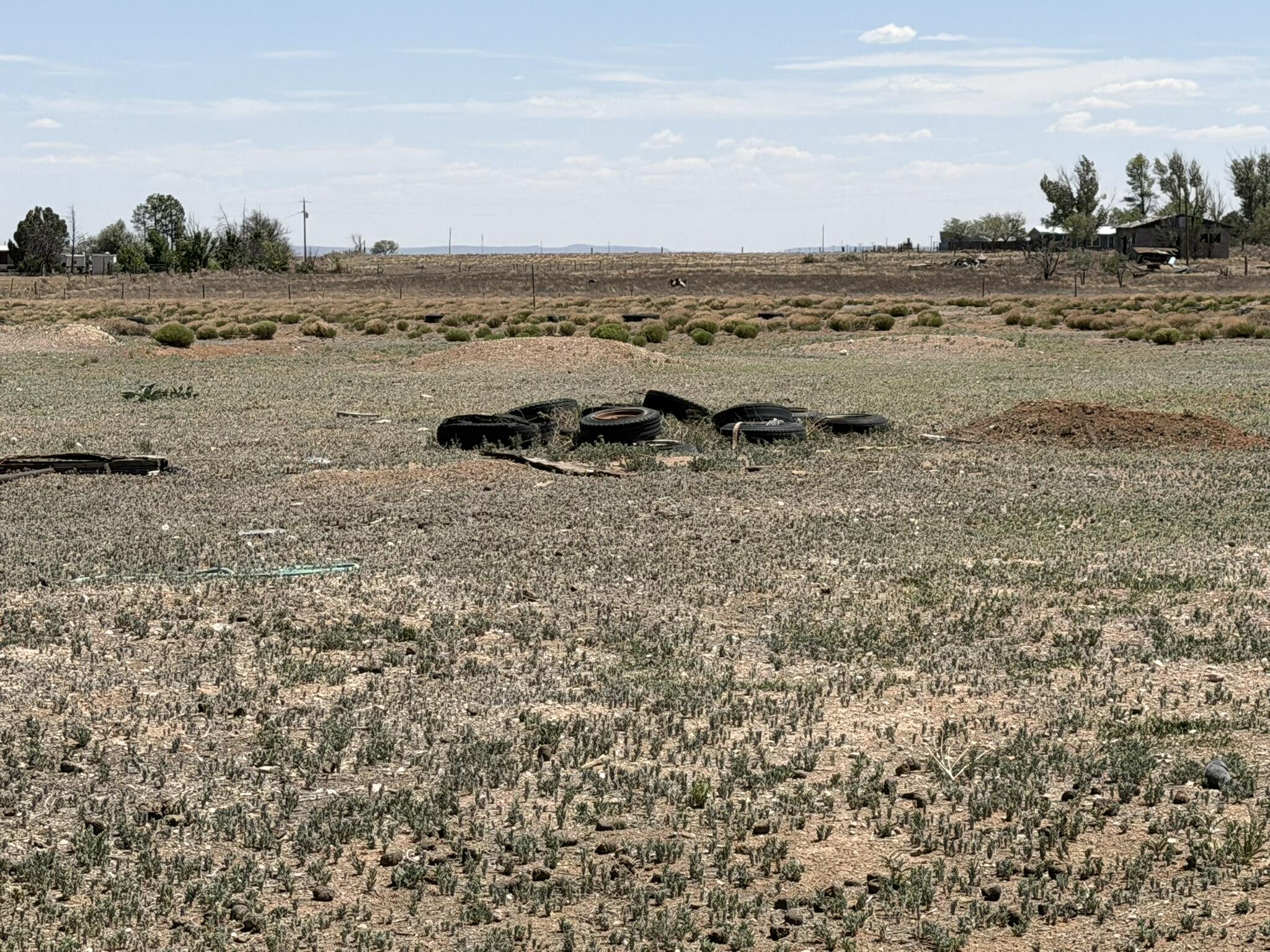 Photo 2 — 134 Marshall Road
