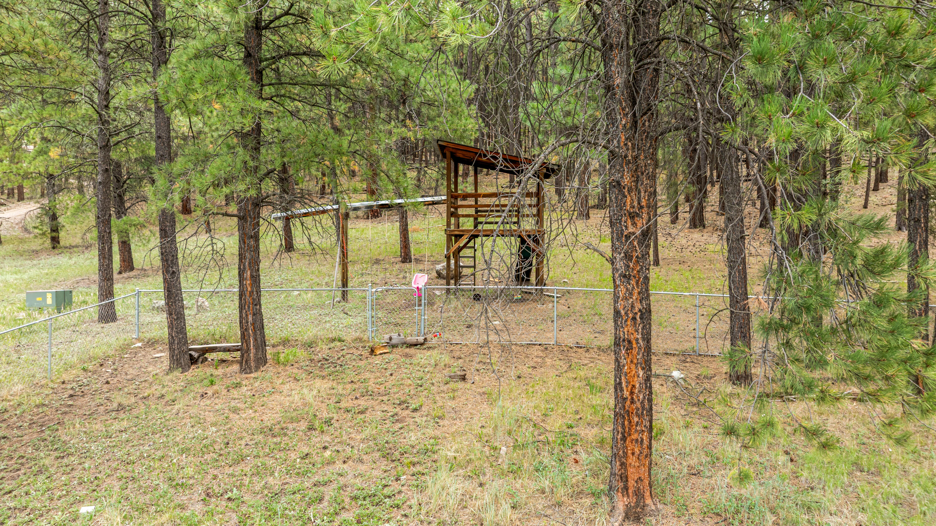 Photo 9 — 504 Elk Trail
